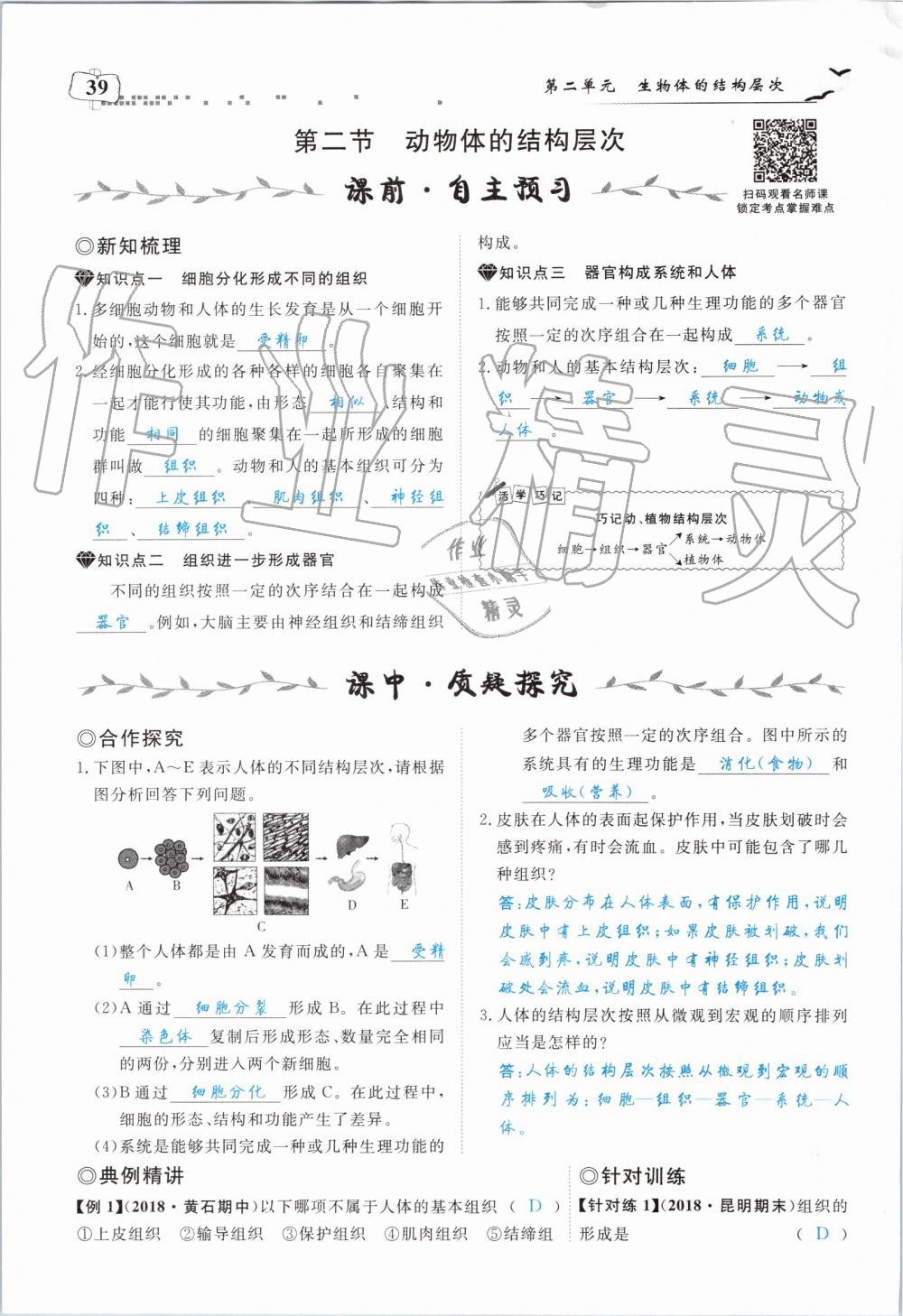 2019年351高效课堂导学案七年级生物上册人教版 第39页