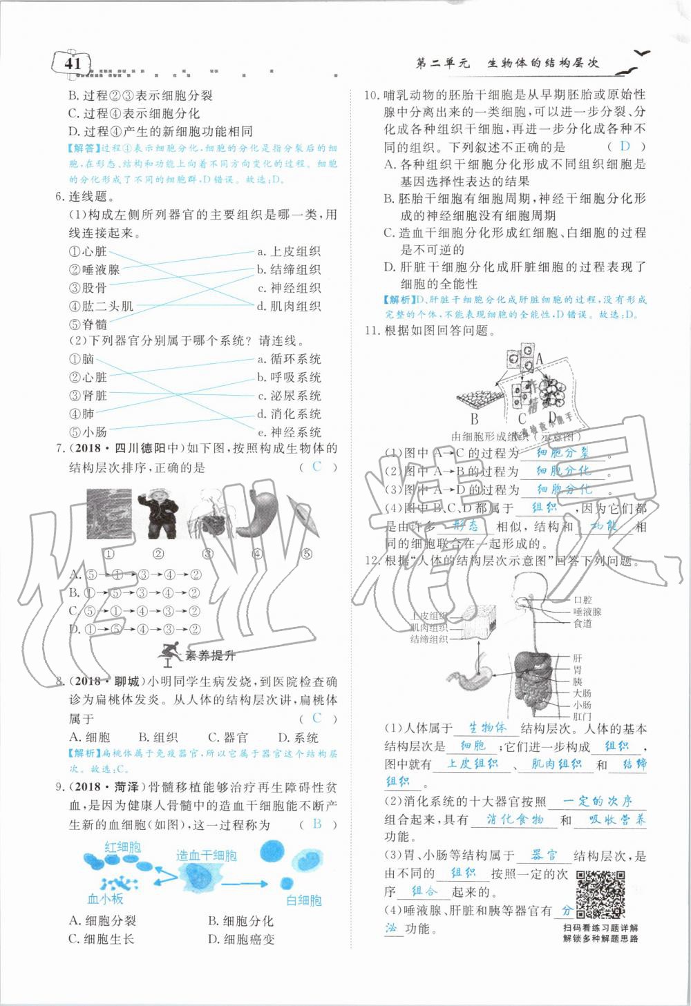 2019年351高效课堂导学案七年级生物上册人教版 第41页