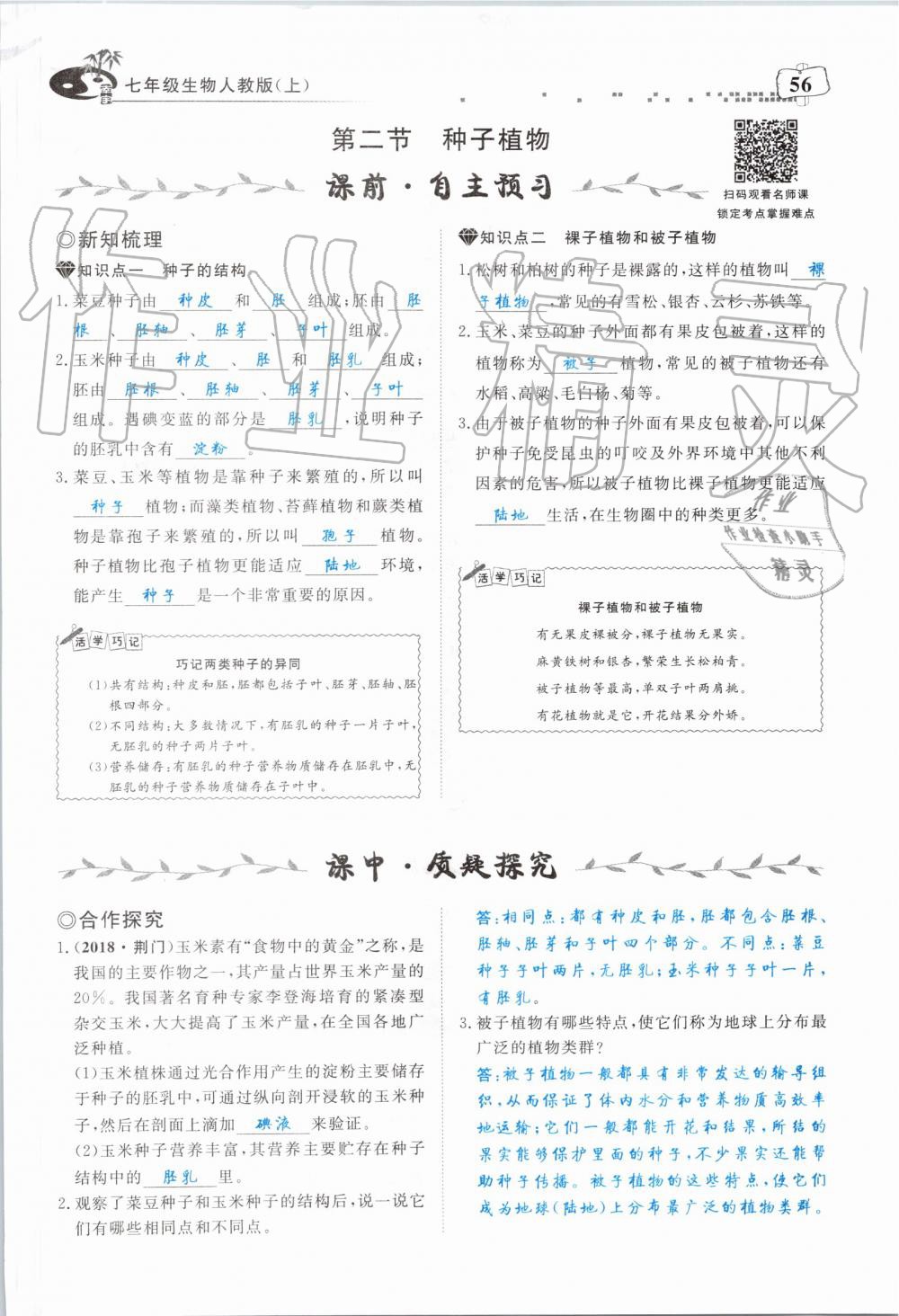 2019年351高效課堂導學案七年級生物上冊人教版 第56頁