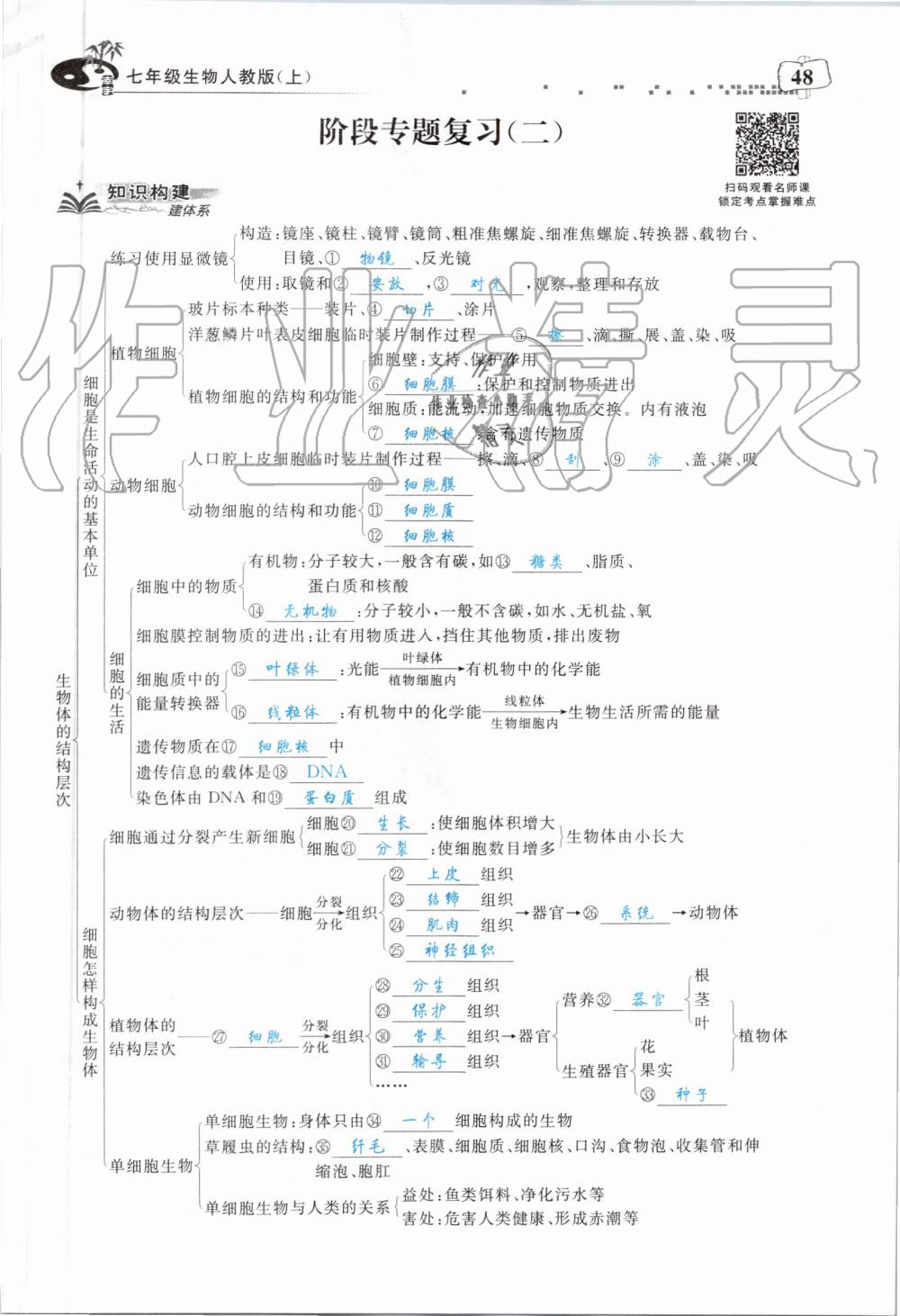 2019年351高效課堂導(dǎo)學(xué)案七年級(jí)生物上冊(cè)人教版 第48頁