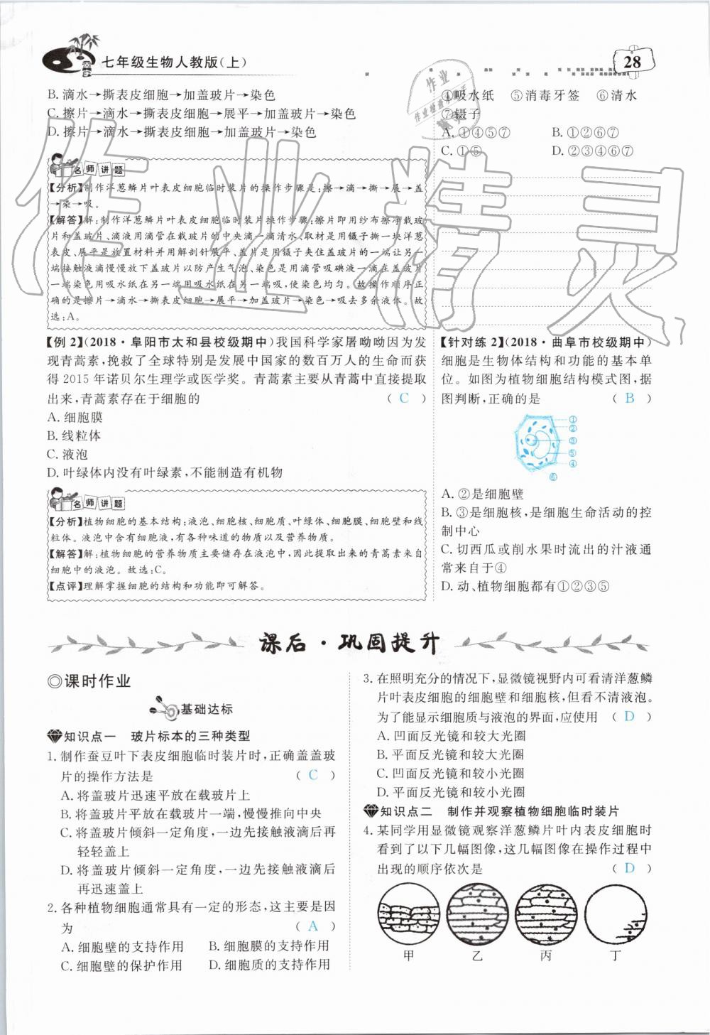 2019年351高效課堂導(dǎo)學(xué)案七年級生物上冊人教版 第28頁