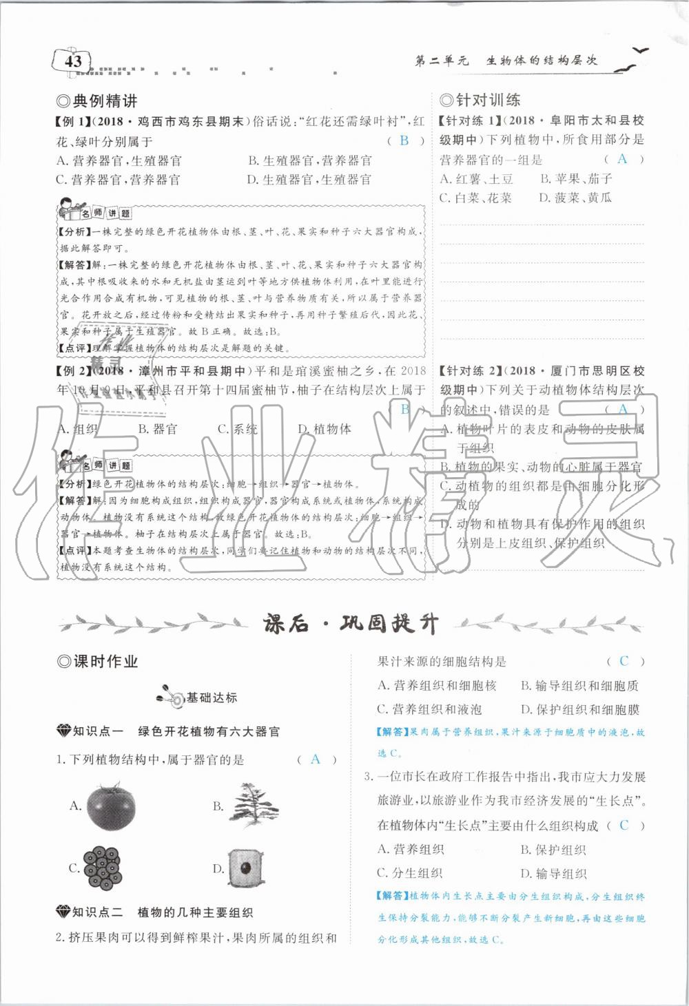 2019年351高效课堂导学案七年级生物上册人教版 第43页