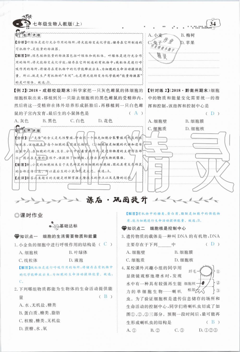 2019年351高效课堂导学案七年级生物上册人教版 第34页