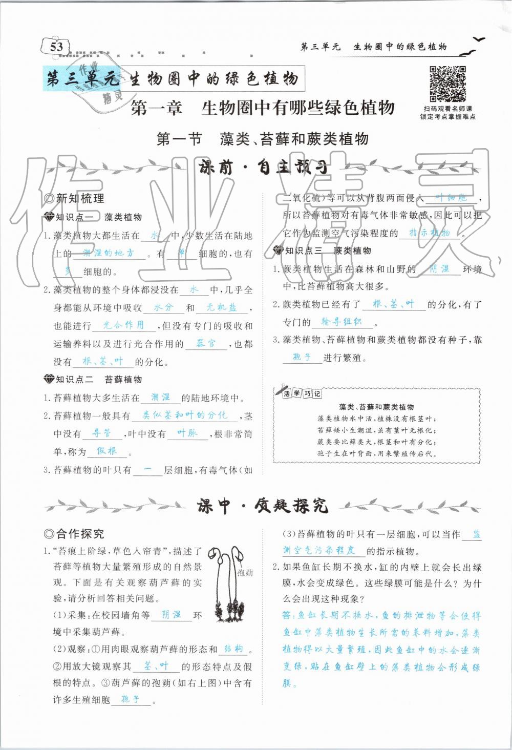 2019年351高效课堂导学案七年级生物上册人教版 第53页