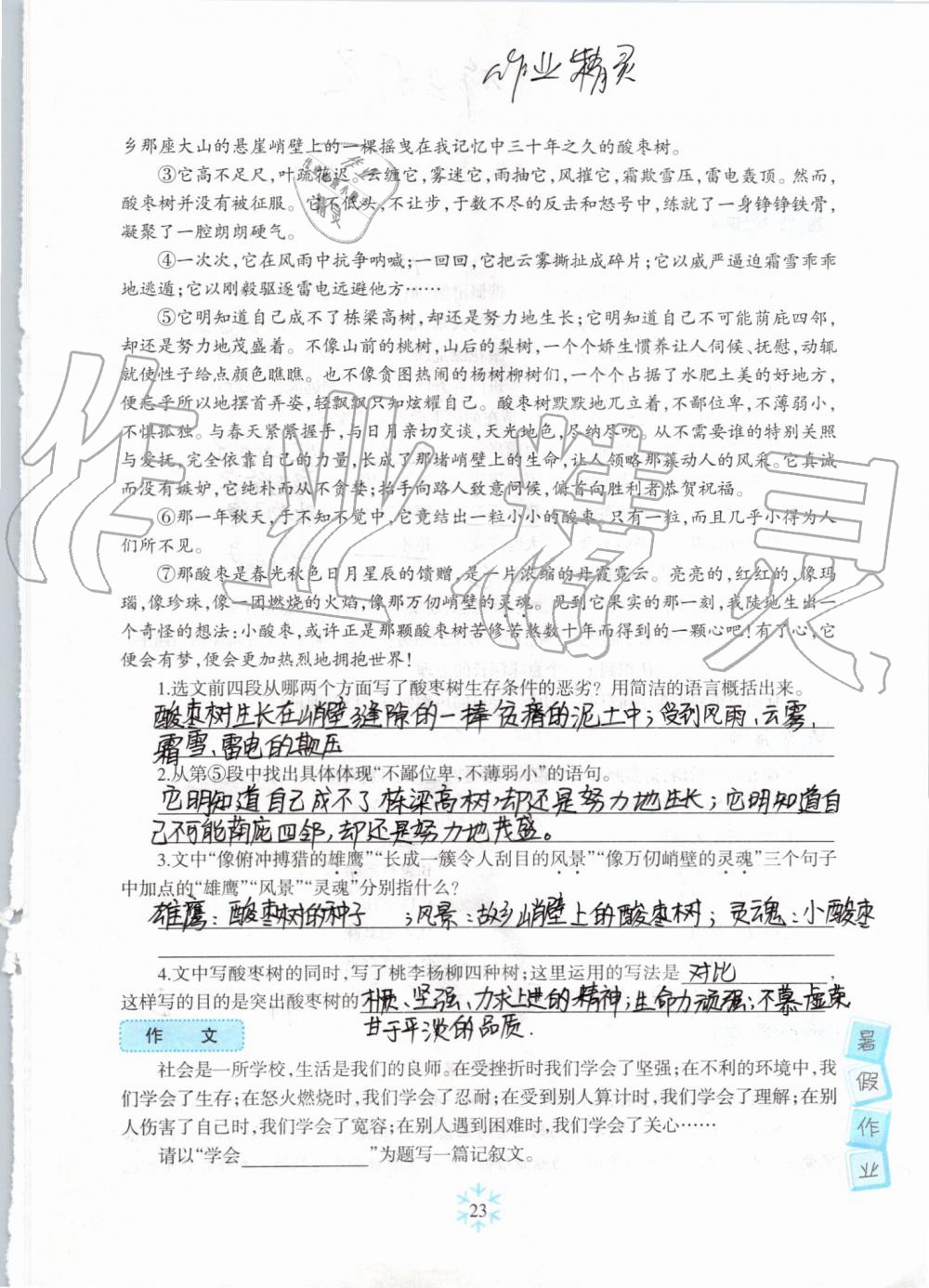 2019年高效课堂暑假作业七年级语文新疆青少年出版社 第22页