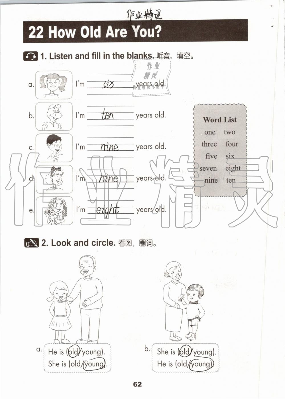 2019年活动手册三年级英语上册冀教版 第61页