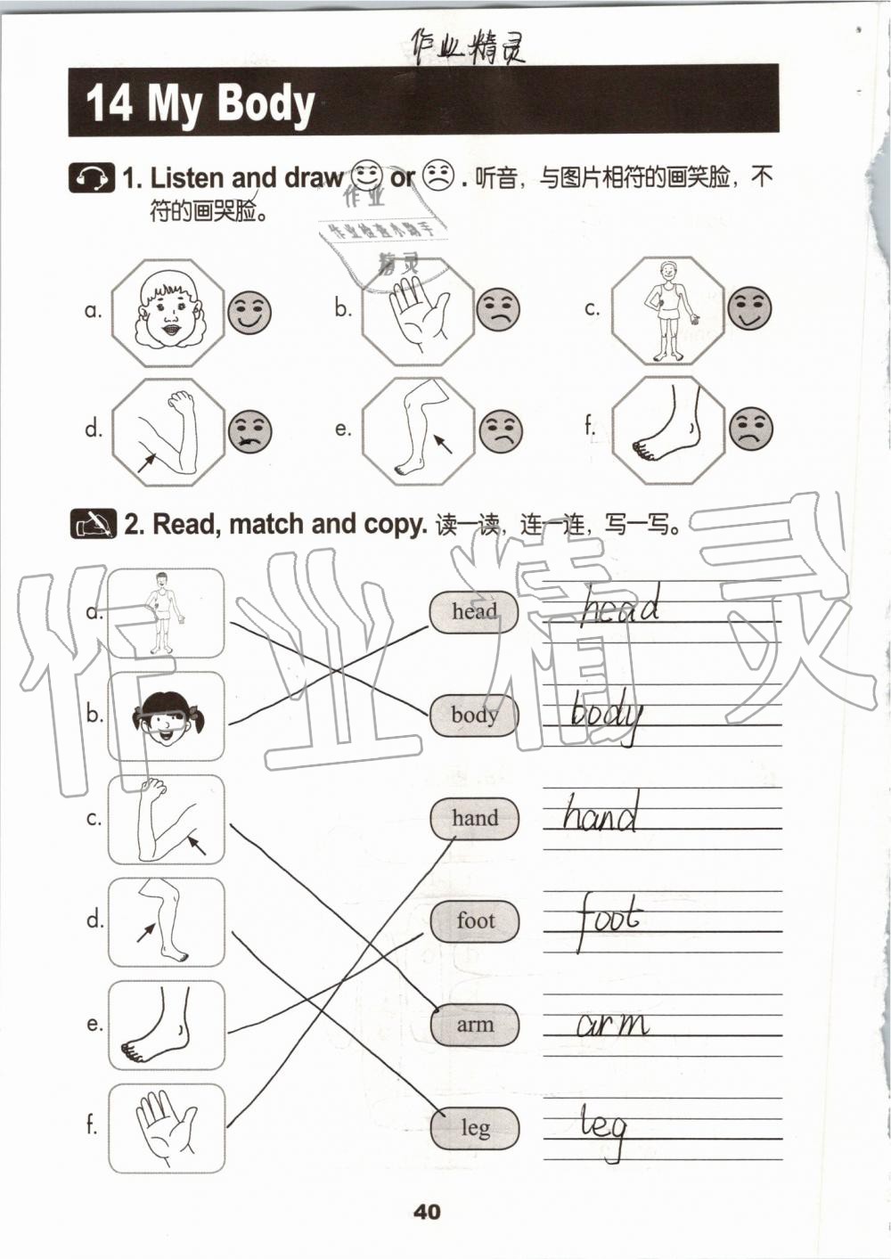 2019年活动手册三年级英语上册冀教版 第39页