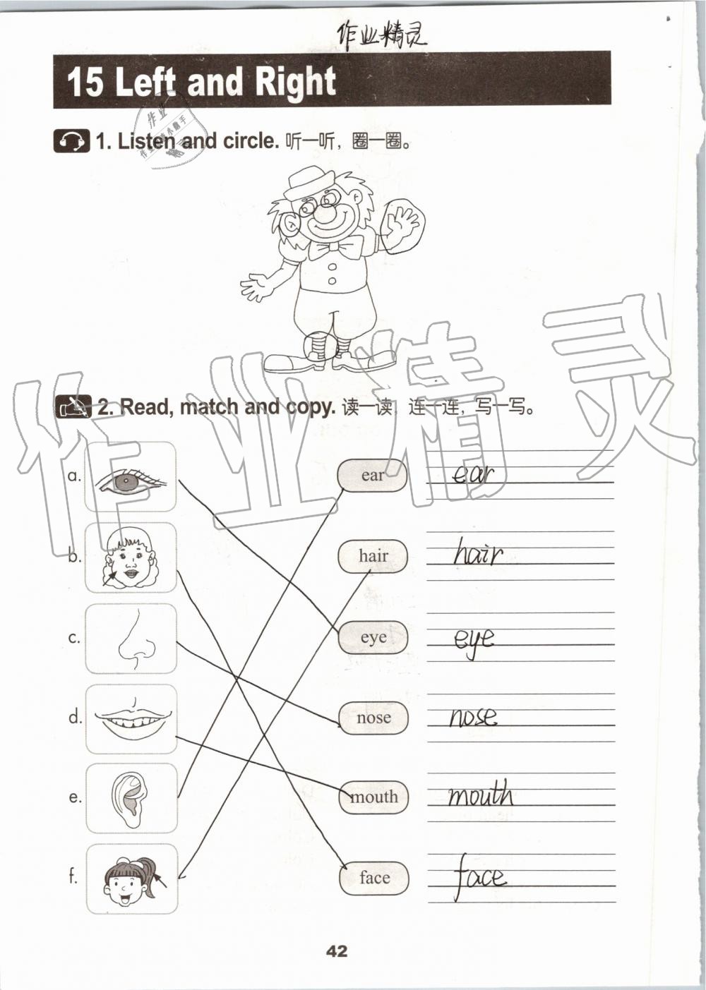 2019年活动手册三年级英语上册冀教版 第41页