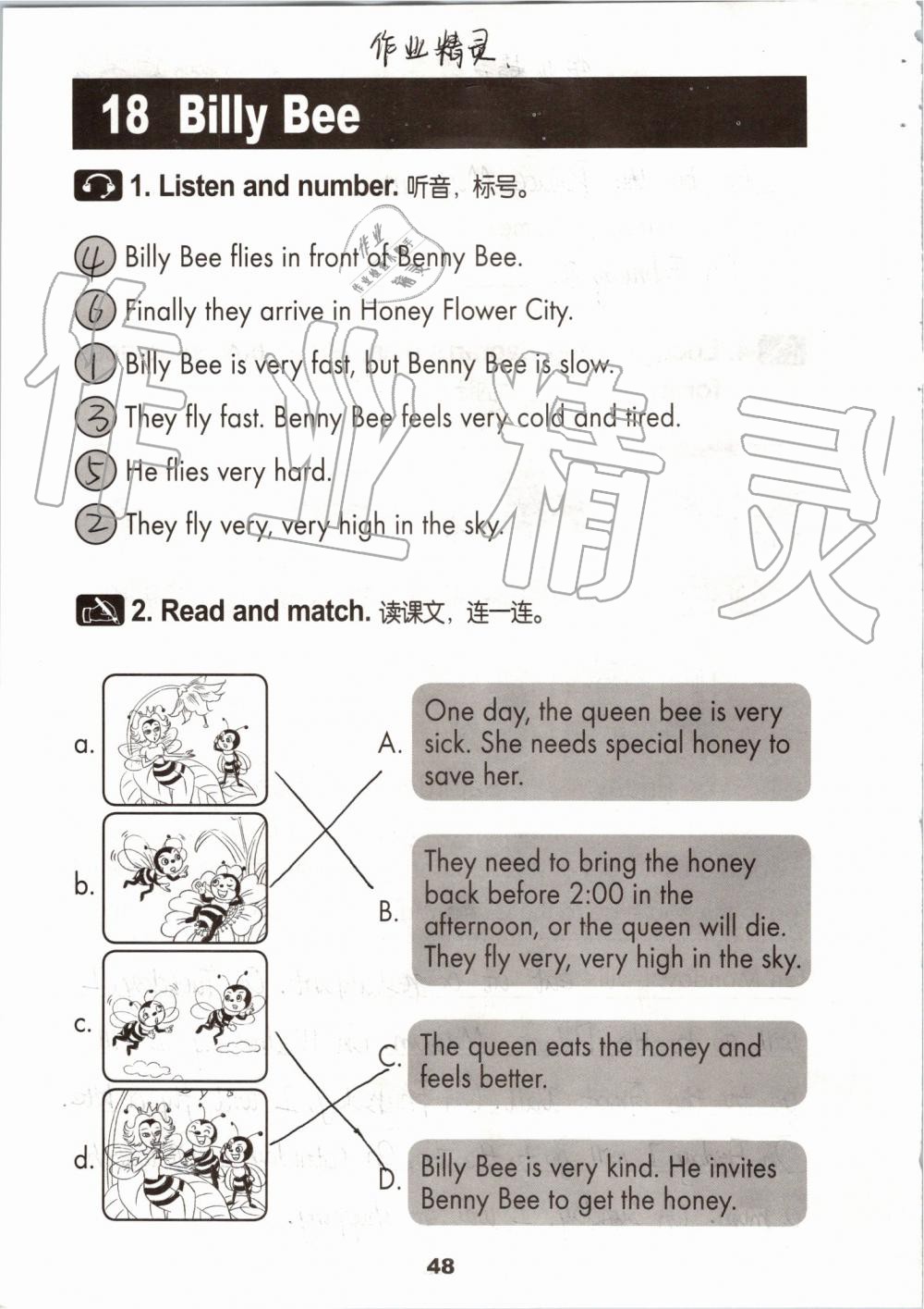 2019年活动手册五年级英语上册冀教版 第47页