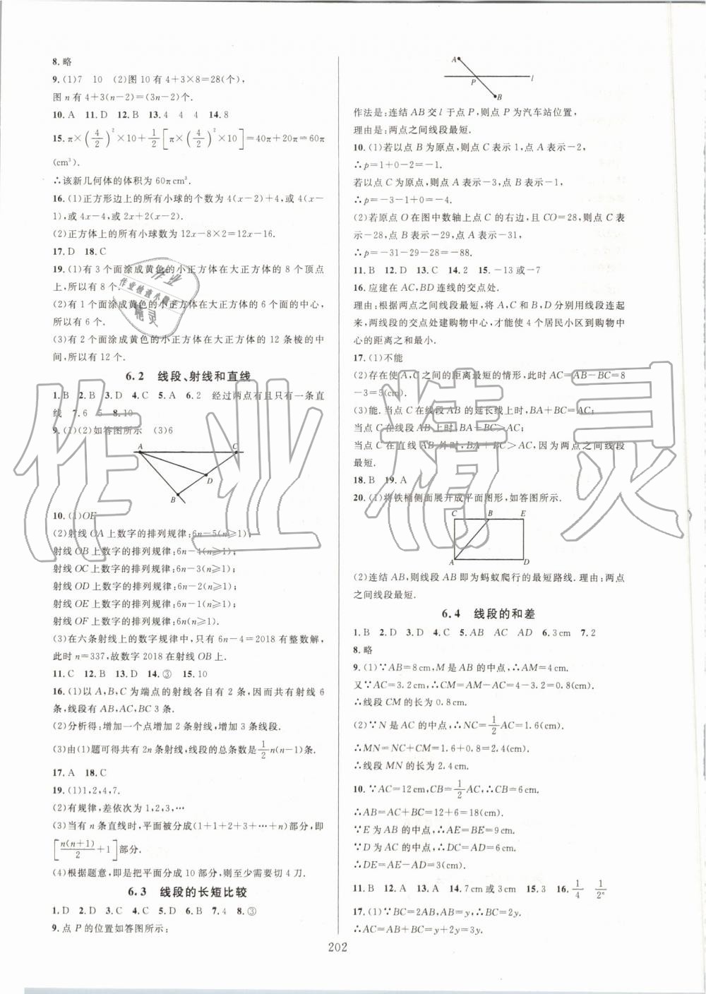 2019年全优方案夯实与提高七年级数学上册浙教版 第18页