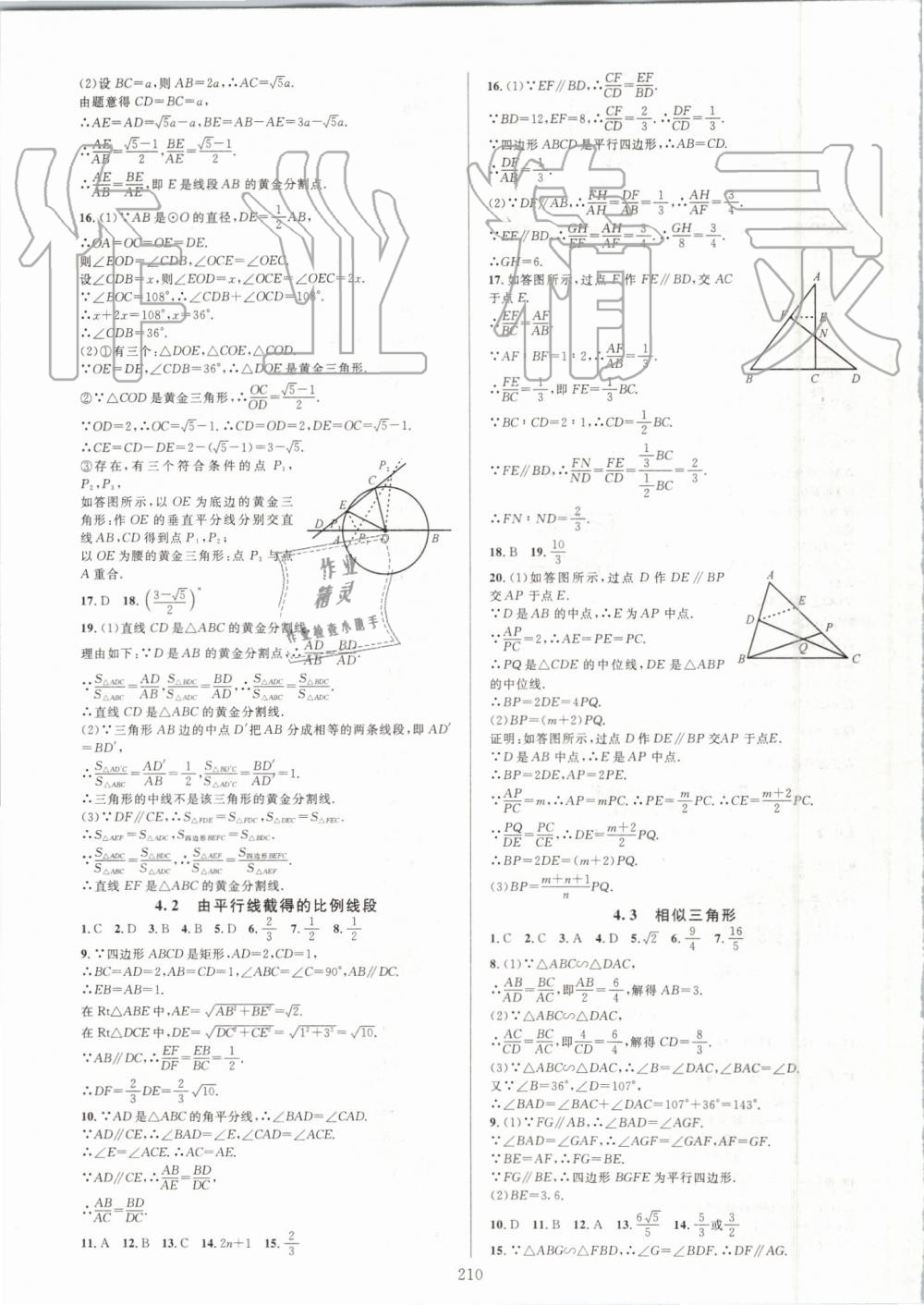 2019年全優(yōu)方案夯實(shí)與提高九年級(jí)數(shù)學(xué)全一冊(cè)浙教版 第26頁(yè)