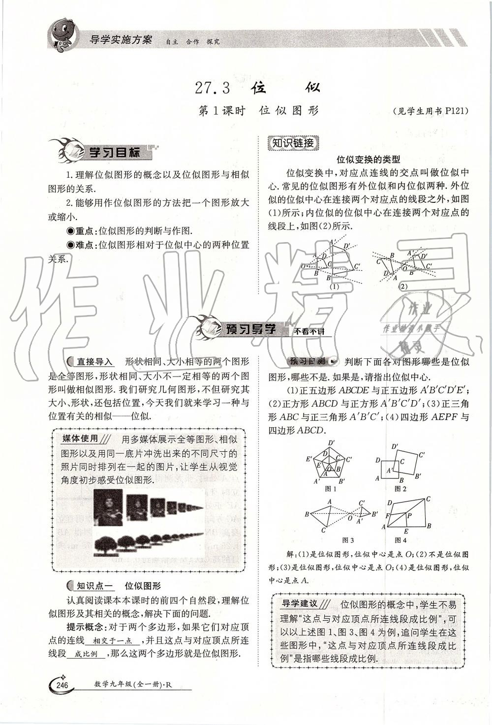 2019年金太陽導(dǎo)學(xué)案九年級數(shù)學(xué)全一冊人教版 第246頁