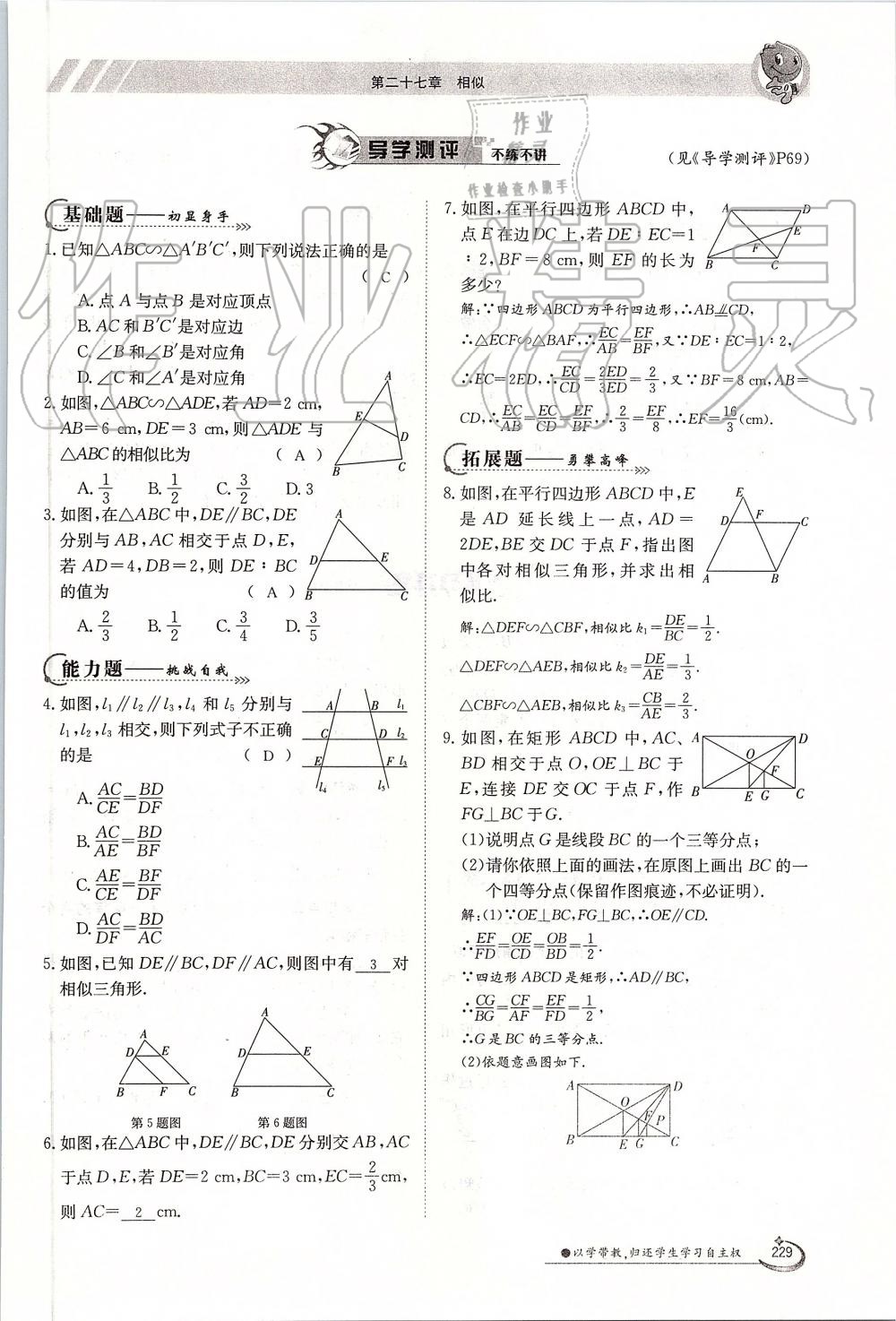 2019年金太陽導(dǎo)學(xué)案九年級數(shù)學(xué)全一冊人教版 第229頁