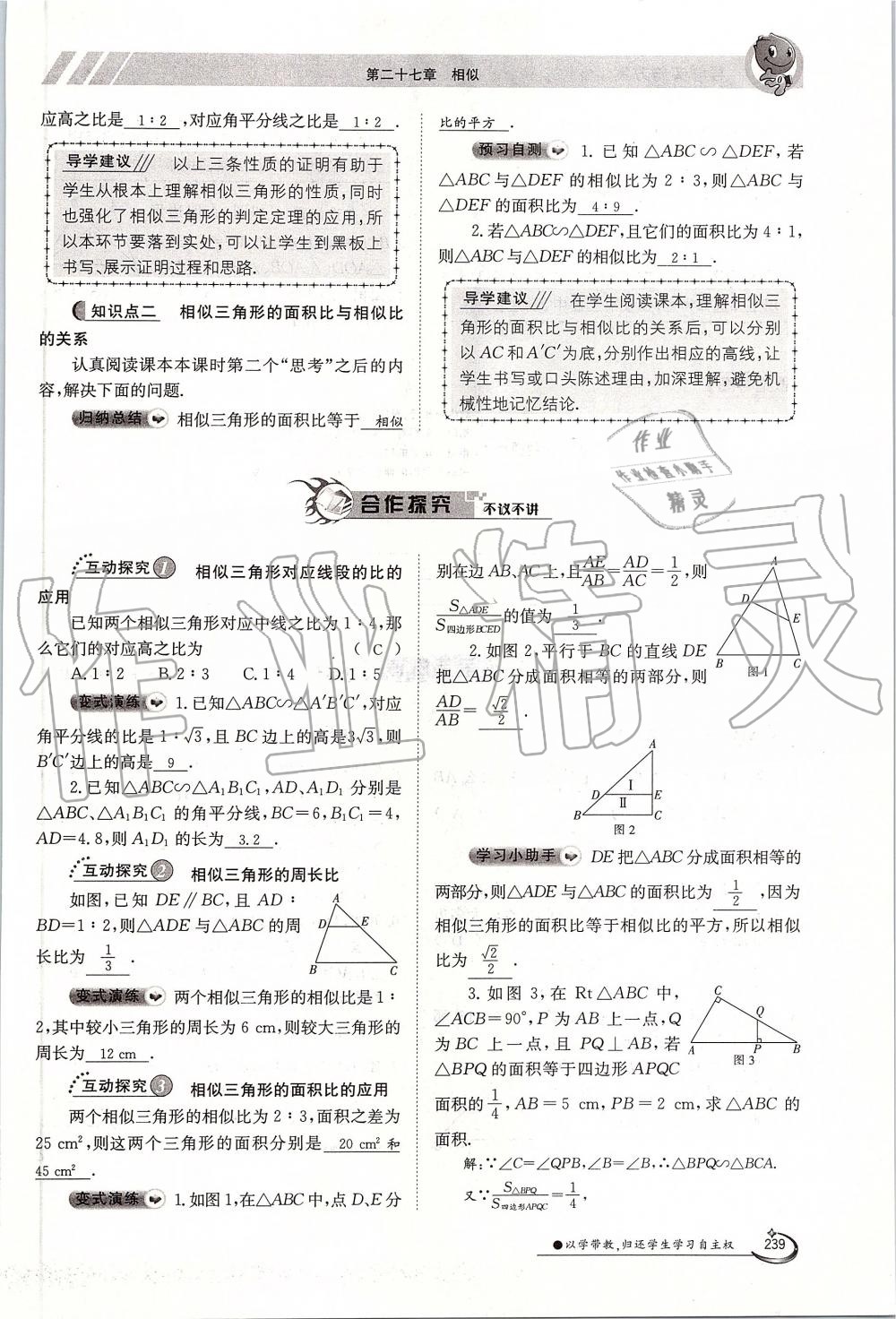 2019年金太陽導(dǎo)學(xué)案九年級數(shù)學(xué)全一冊人教版 第239頁