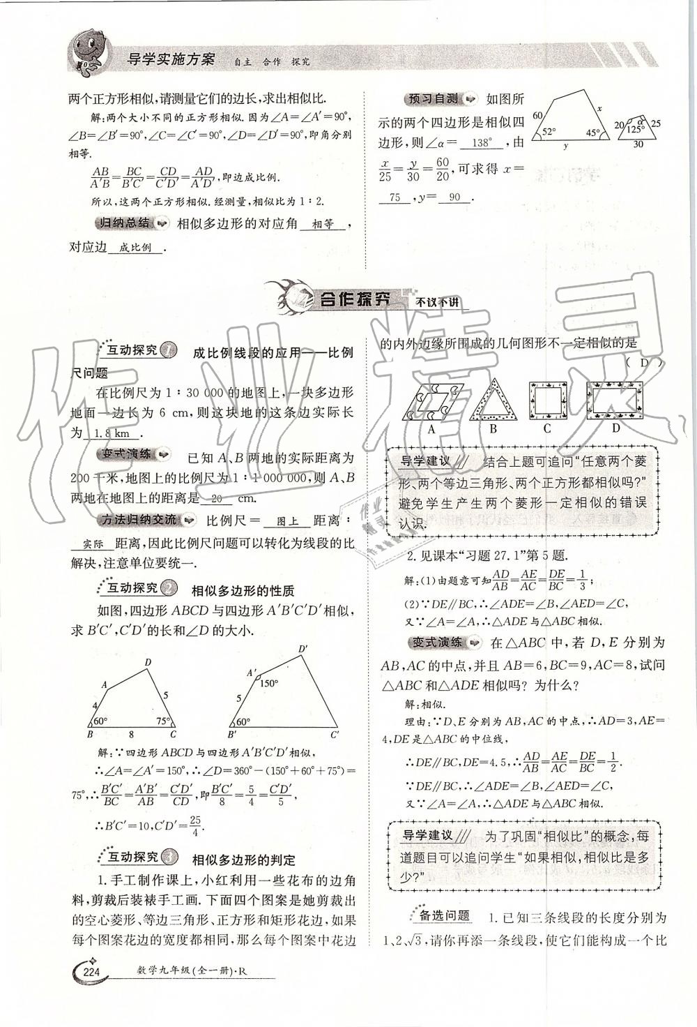 2019年金太陽導(dǎo)學(xué)案九年級數(shù)學(xué)全一冊人教版 第224頁