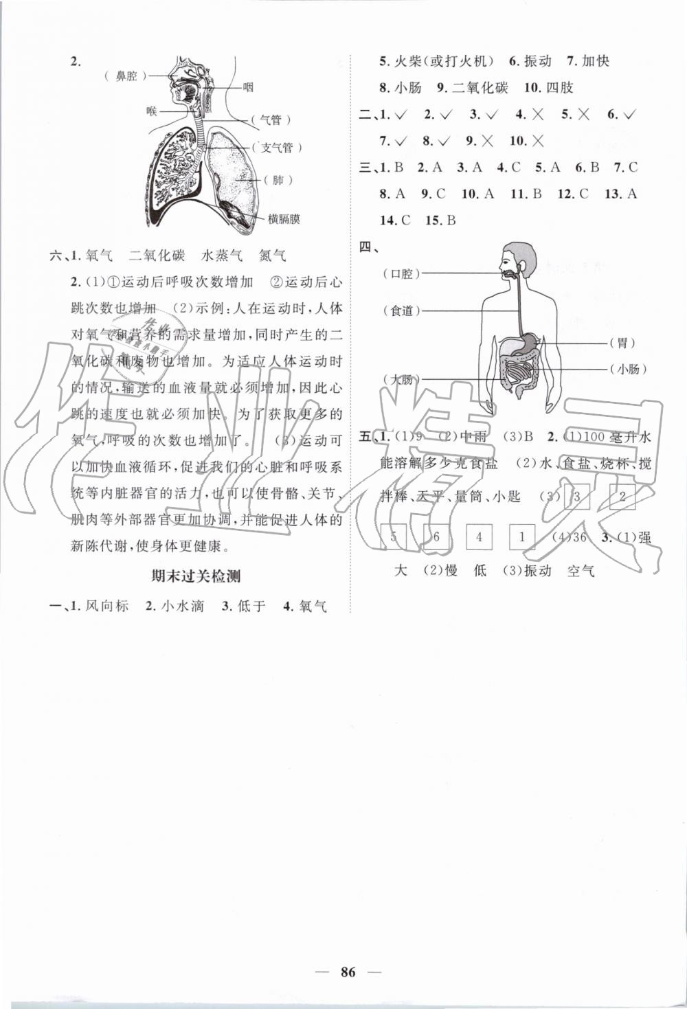 2019年陽光同學(xué)課時優(yōu)化作業(yè)四年級科學(xué)上冊教科版 第8頁