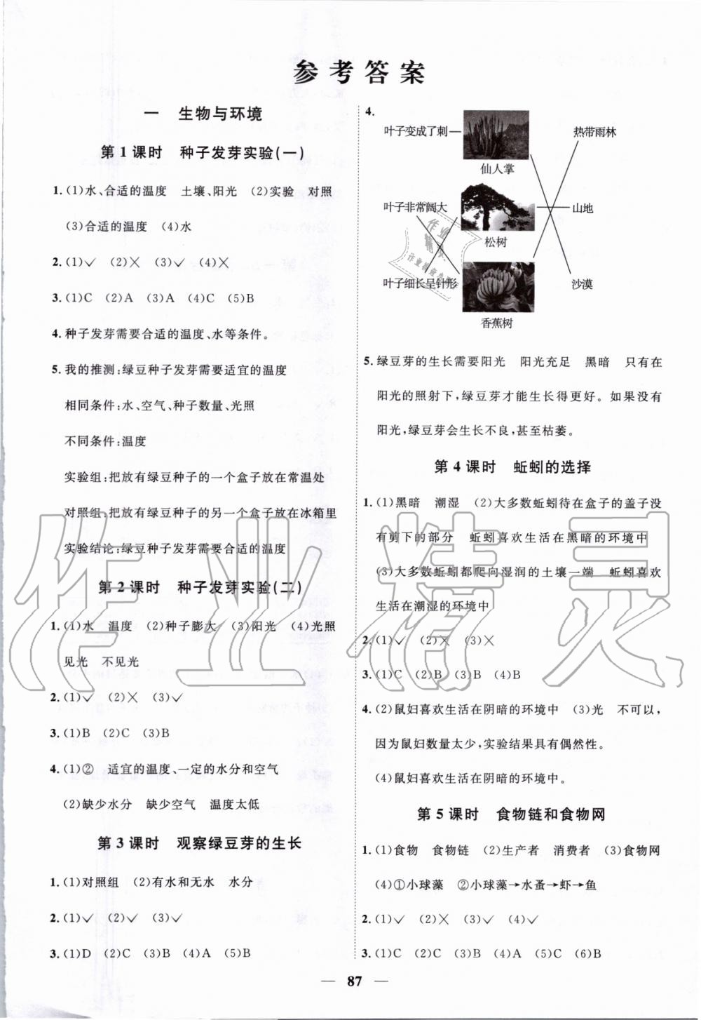 2019年阳光同学课时优化作业五年级科学上册教科版 第1页