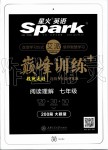 2019年星火英語Spark巔峰訓練閱讀理解七年級