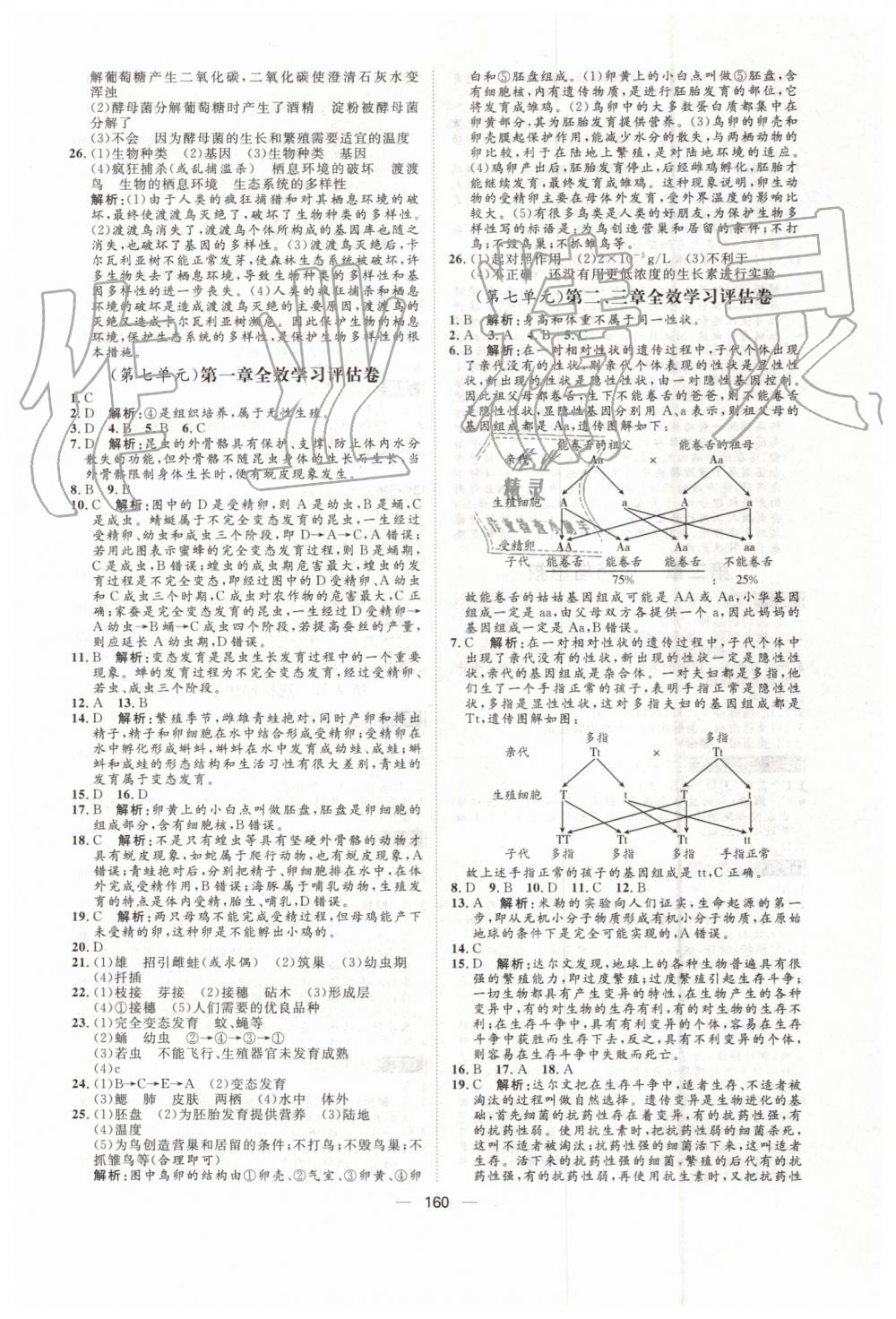 2019年陽光計劃八年級生物上冊人教版 第20頁