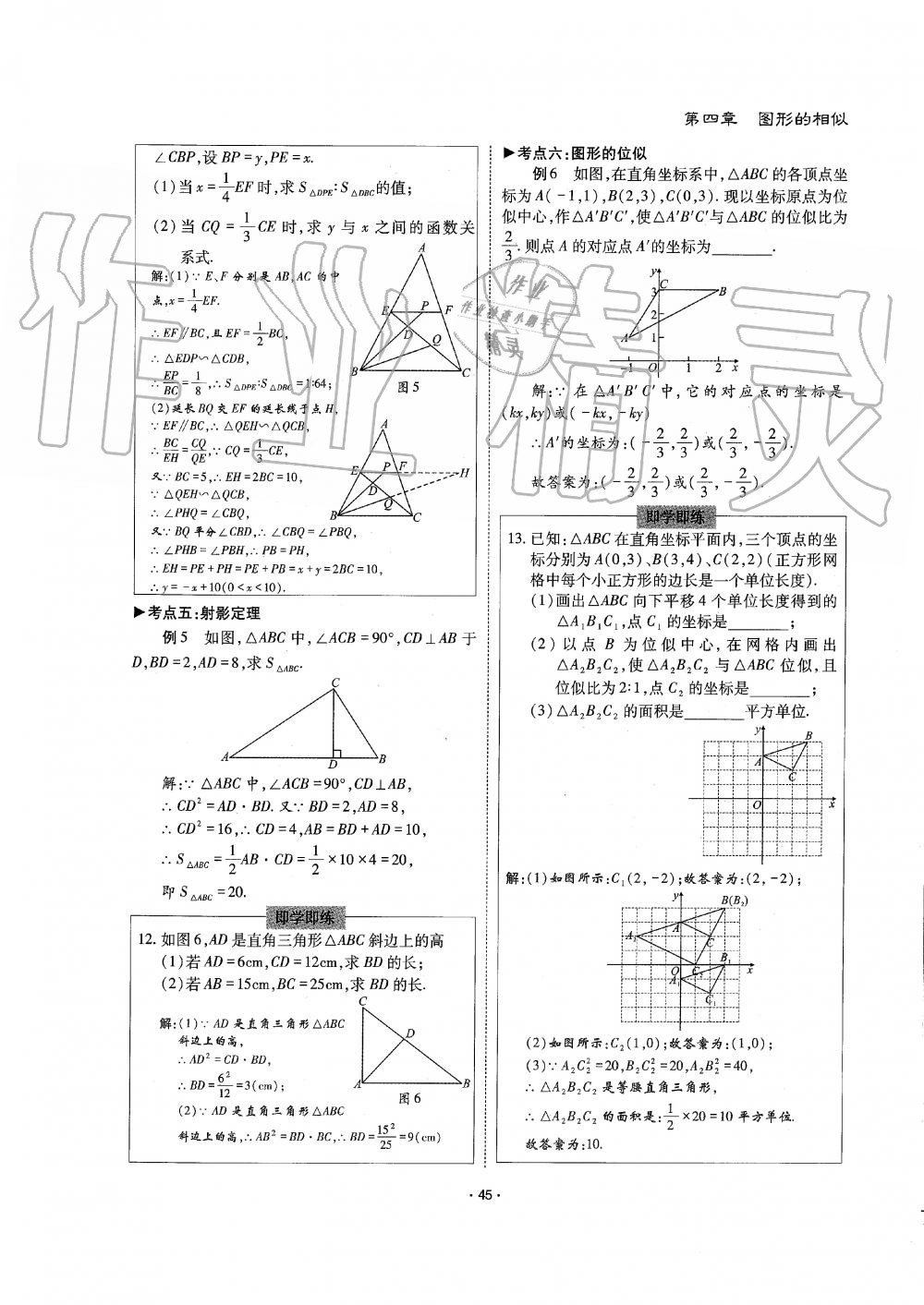 2019年蓉城优课堂给力A加九年级数学全一册北师大版 第45页