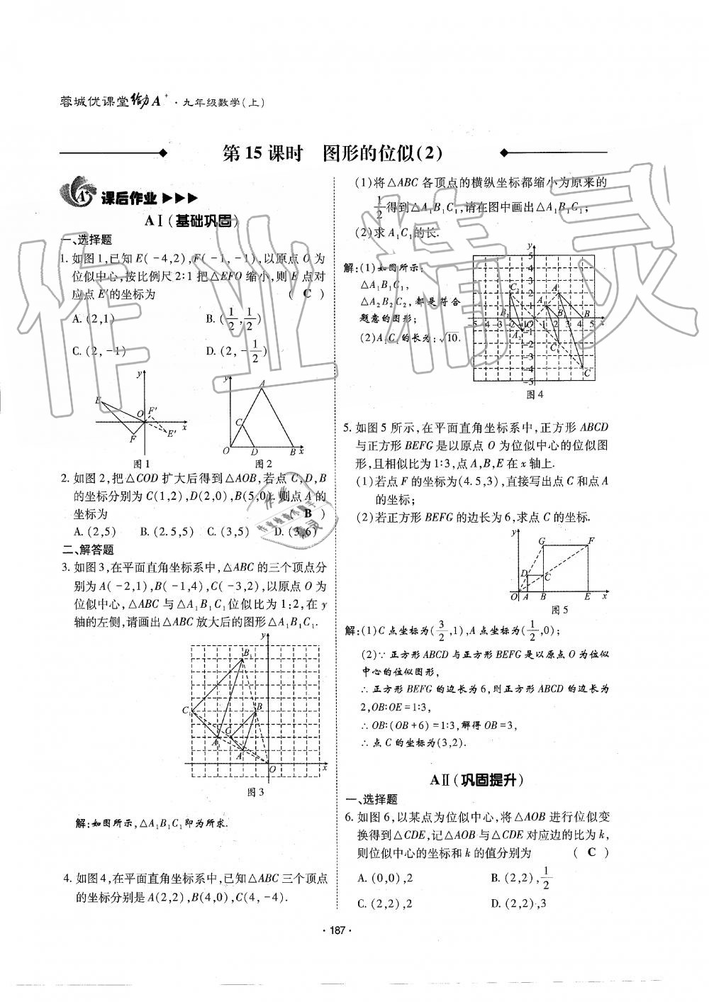 2019年蓉城优课堂给力A加九年级数学全一册北师大版 第188页