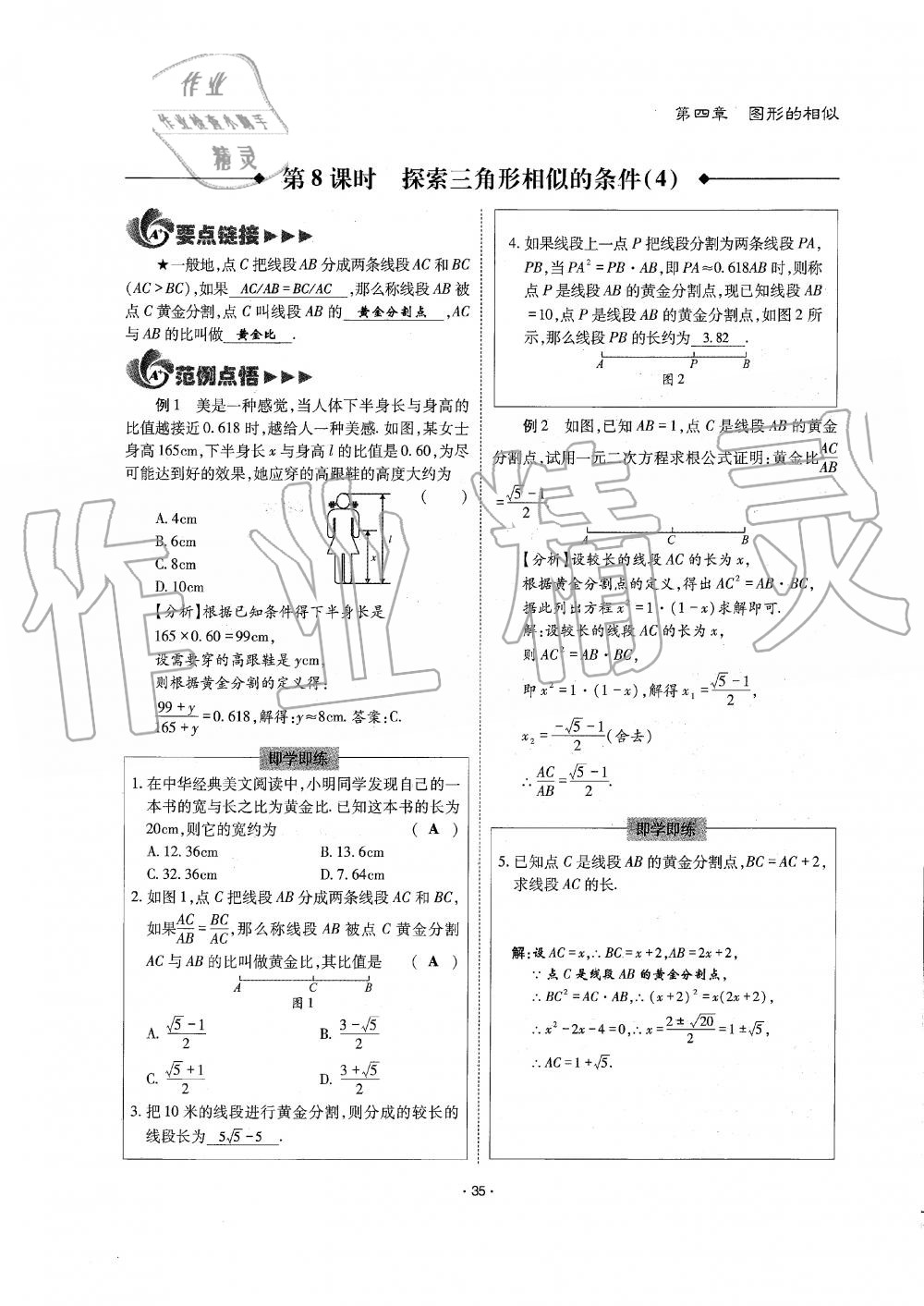 2019年蓉城优课堂给力A加九年级数学全一册北师大版 第35页