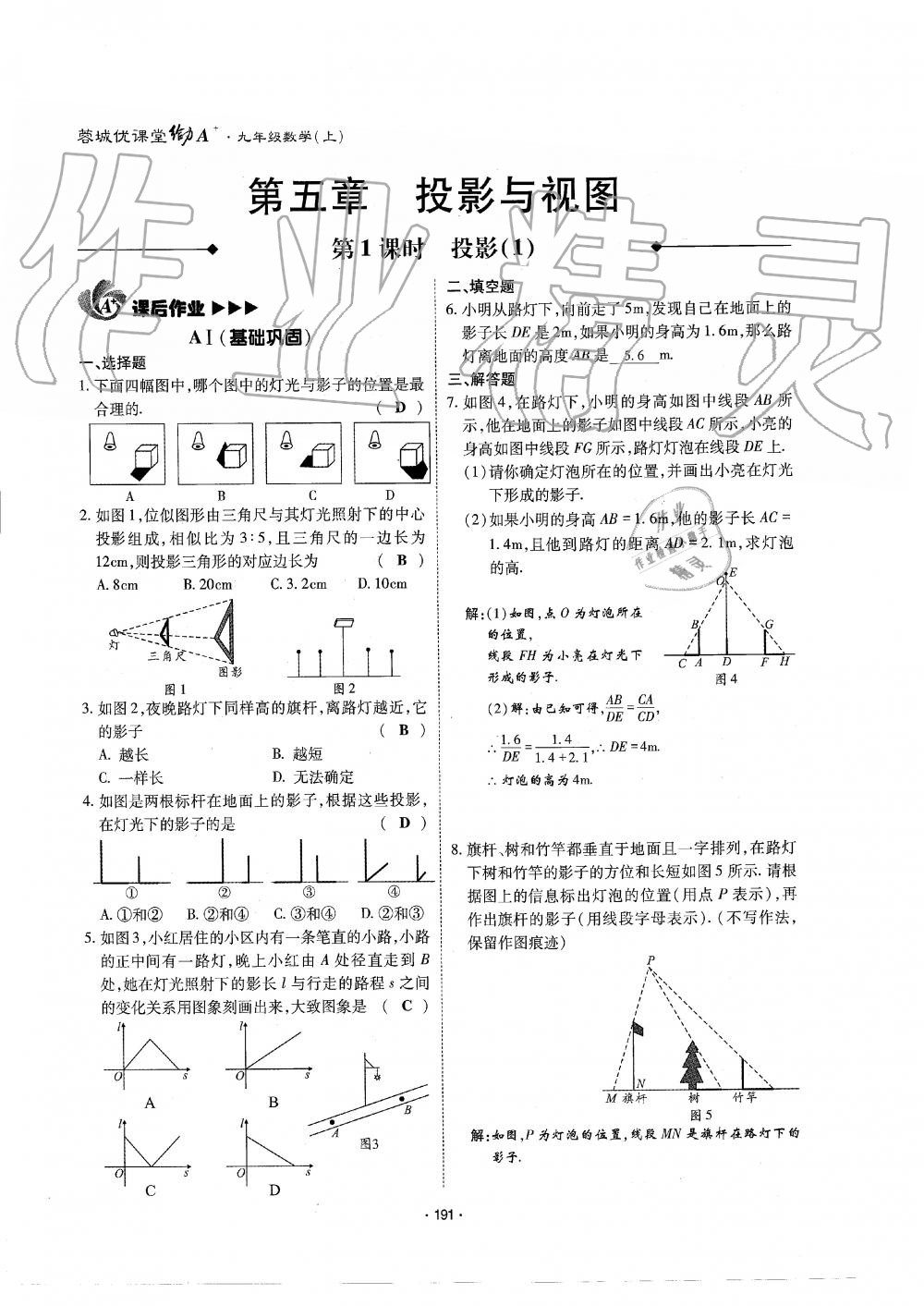 2019年蓉城优课堂给力A加九年级数学全一册北师大版 第192页