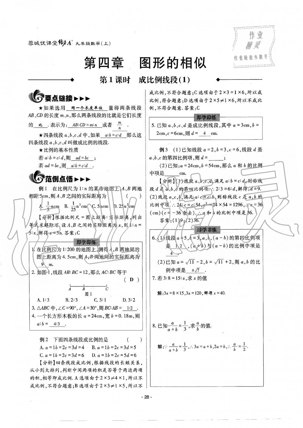 2019年蓉城优课堂给力A加九年级数学全一册北师大版 第28页