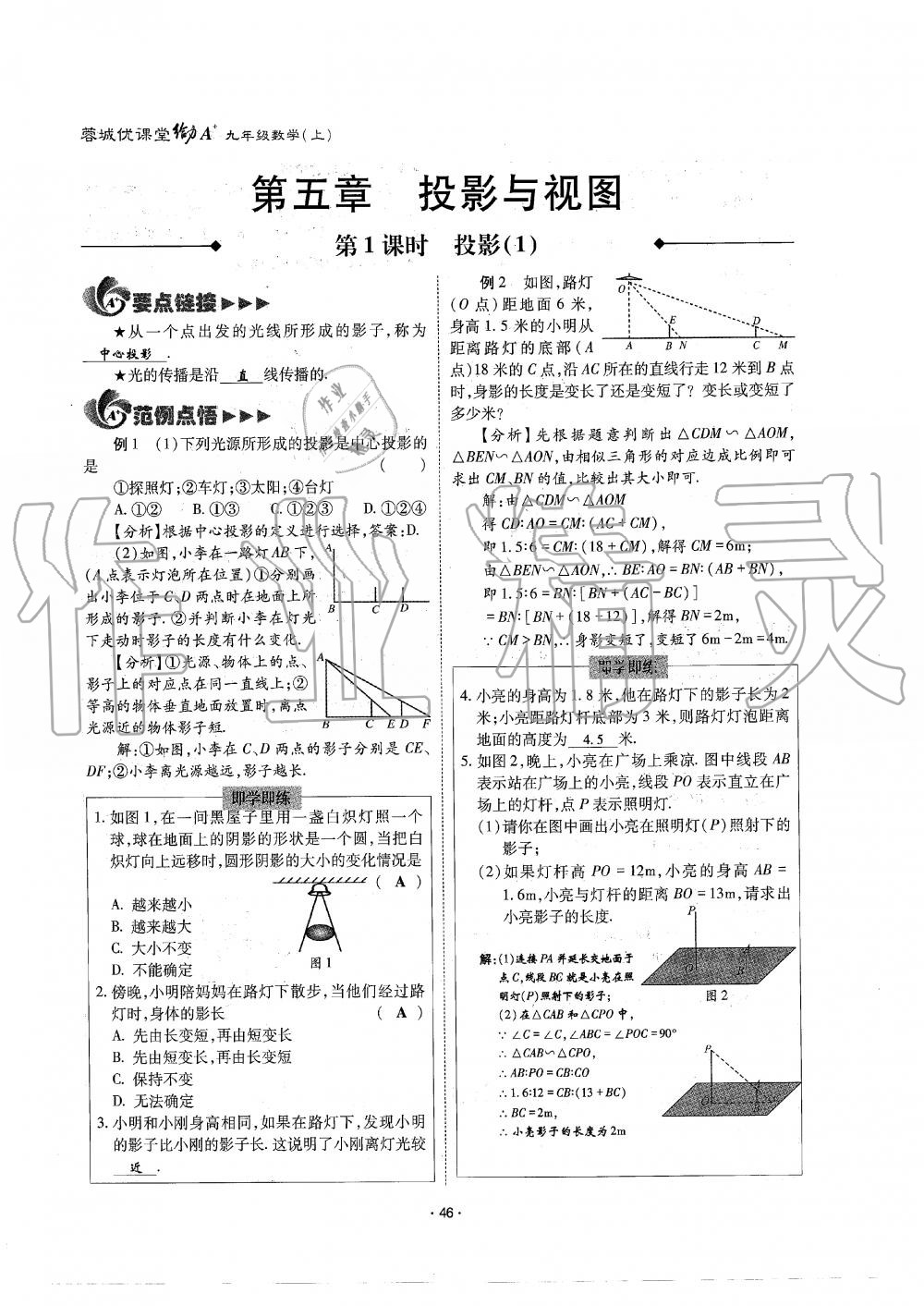 2019年蓉城优课堂给力A加九年级数学全一册北师大版 第46页