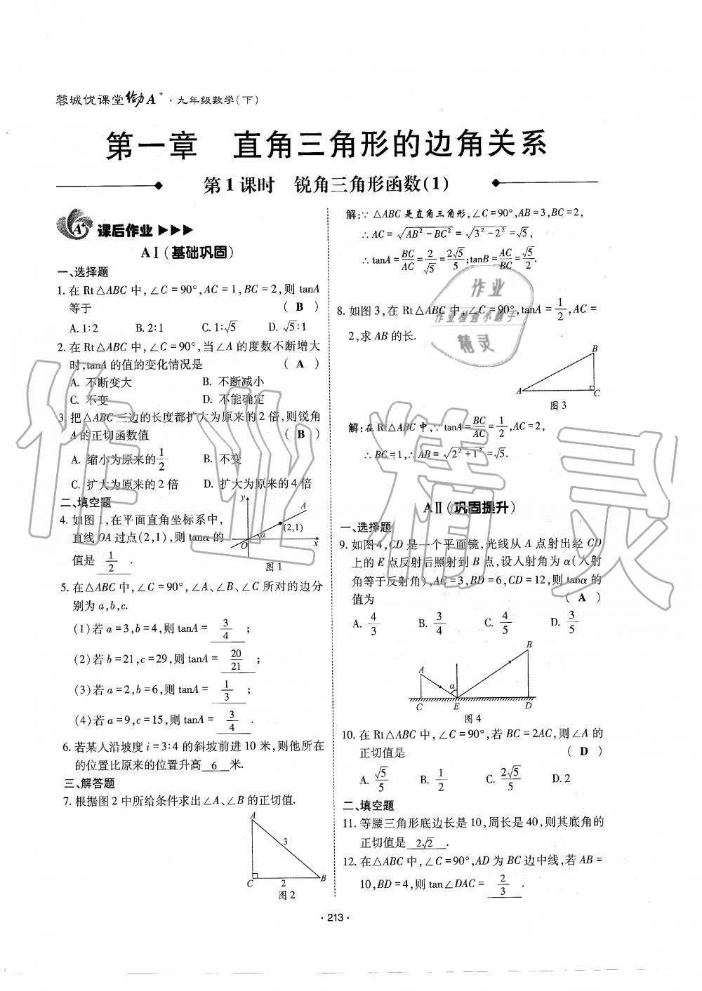 2019年蓉城优课堂给力A加九年级数学全一册北师大版 第214页