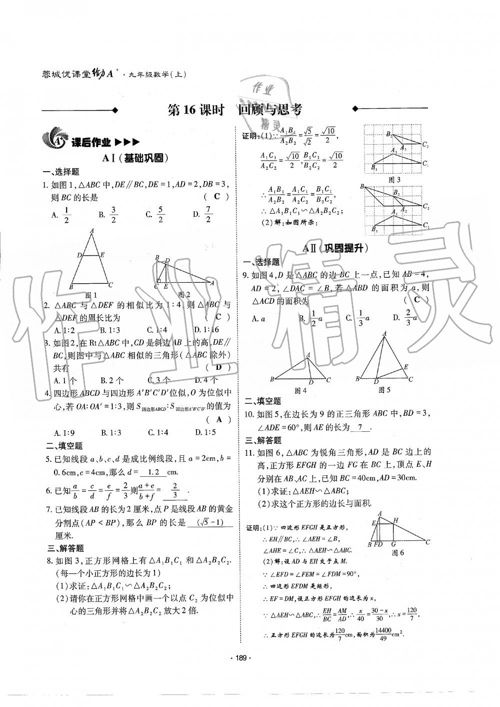 2019年蓉城优课堂给力A加九年级数学全一册北师大版 第190页