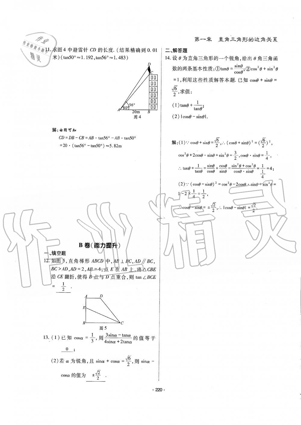 2019年蓉城优课堂给力A加九年级数学全一册北师大版 第221页