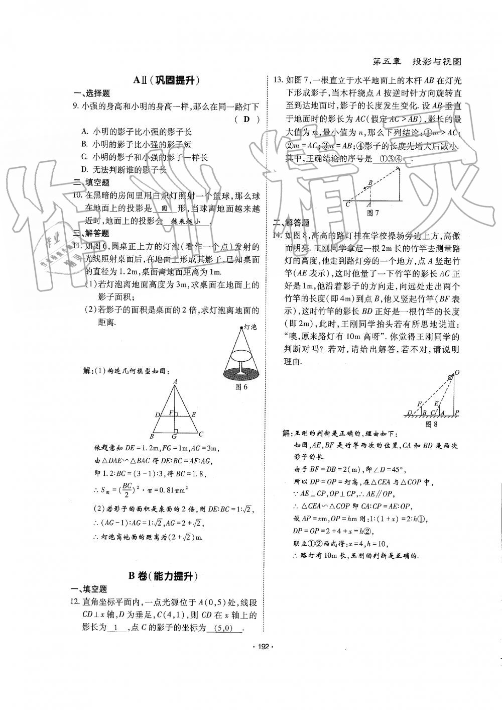 2019年蓉城优课堂给力A加九年级数学全一册北师大版 第193页