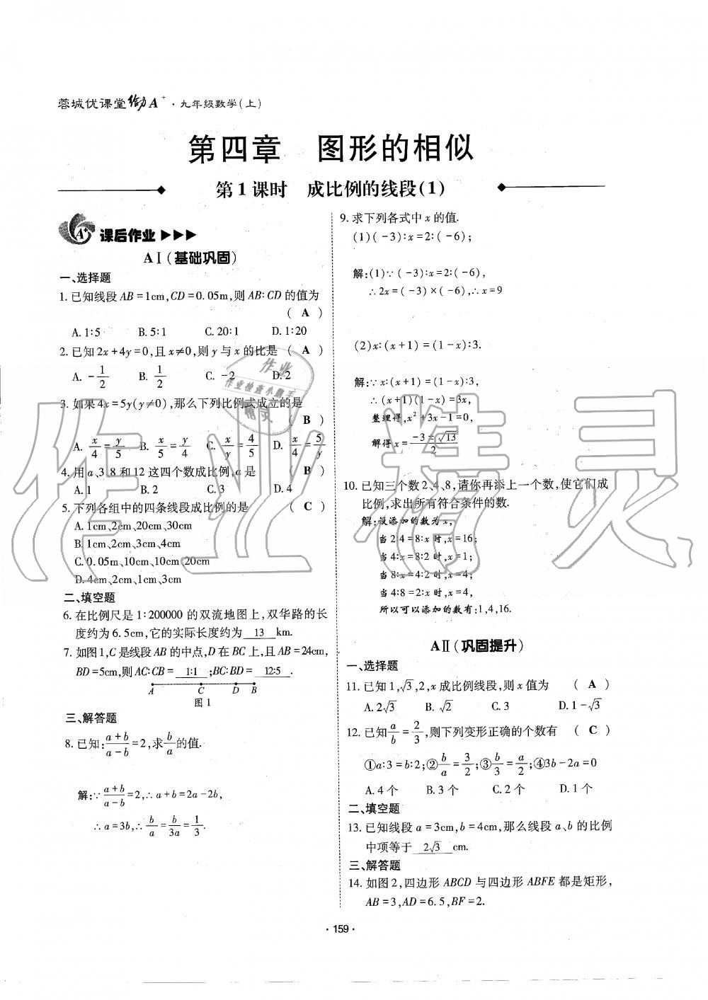 2019年蓉城优课堂给力A加九年级数学全一册北师大版 第160页