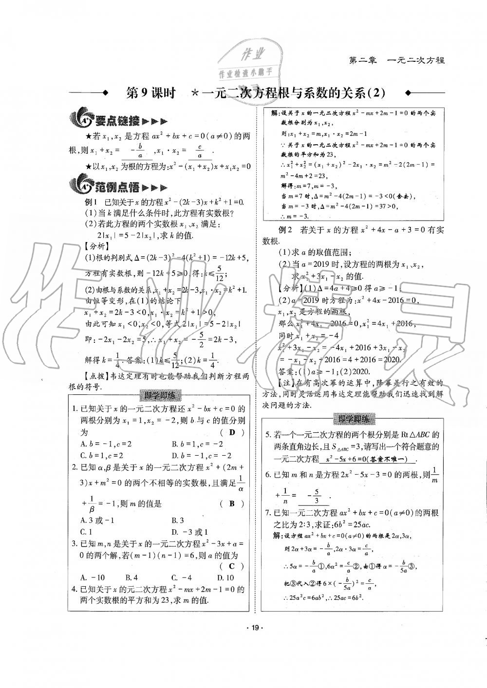 2019年蓉城优课堂给力A加九年级数学全一册北师大版 第19页