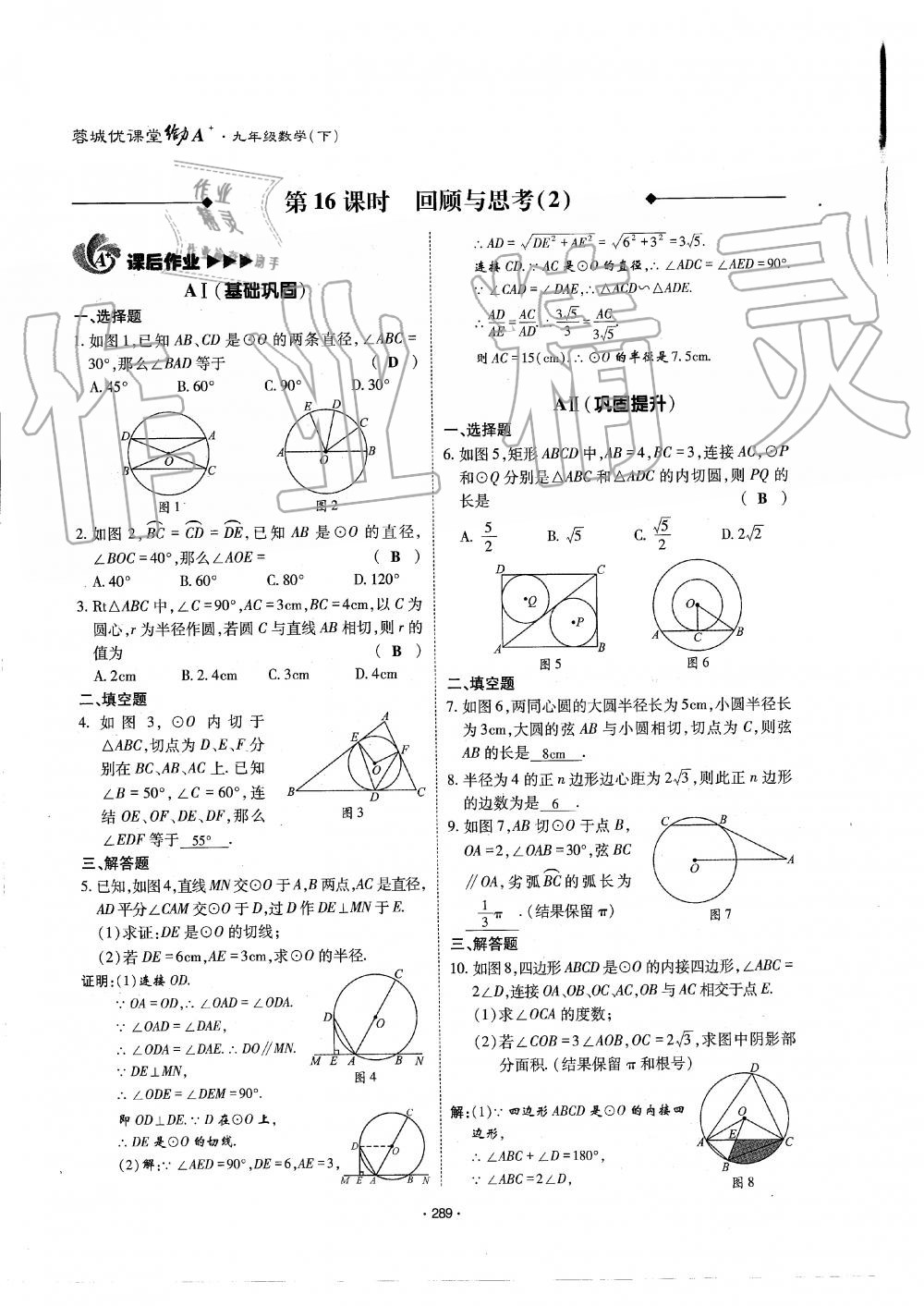 2019年蓉城优课堂给力A加九年级数学全一册北师大版 第290页