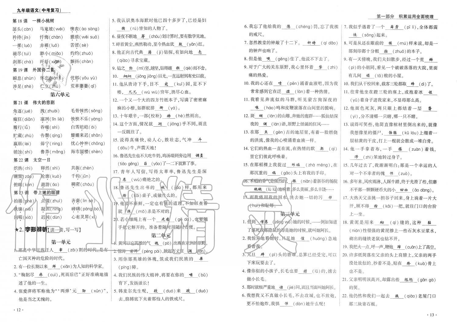 2019年蓉城優(yōu)課堂給力A加九年級語文中考復習 第7頁