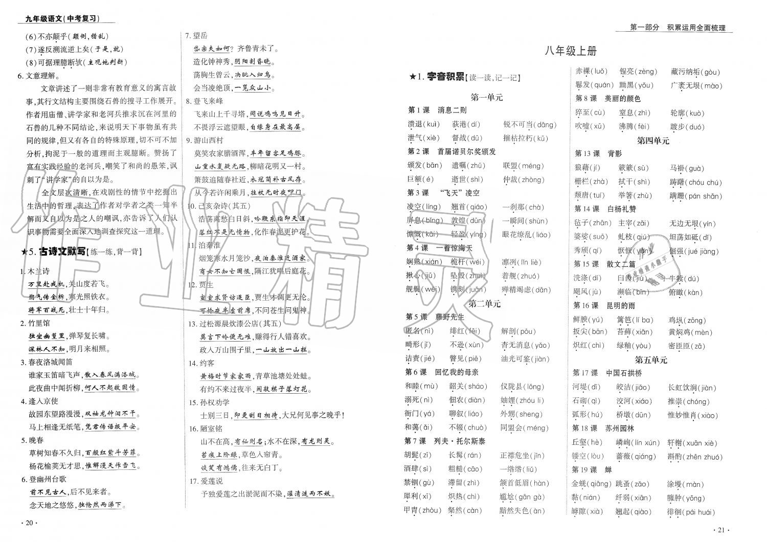 2019年蓉城優(yōu)課堂給力A加九年級語文中考復習 第11頁