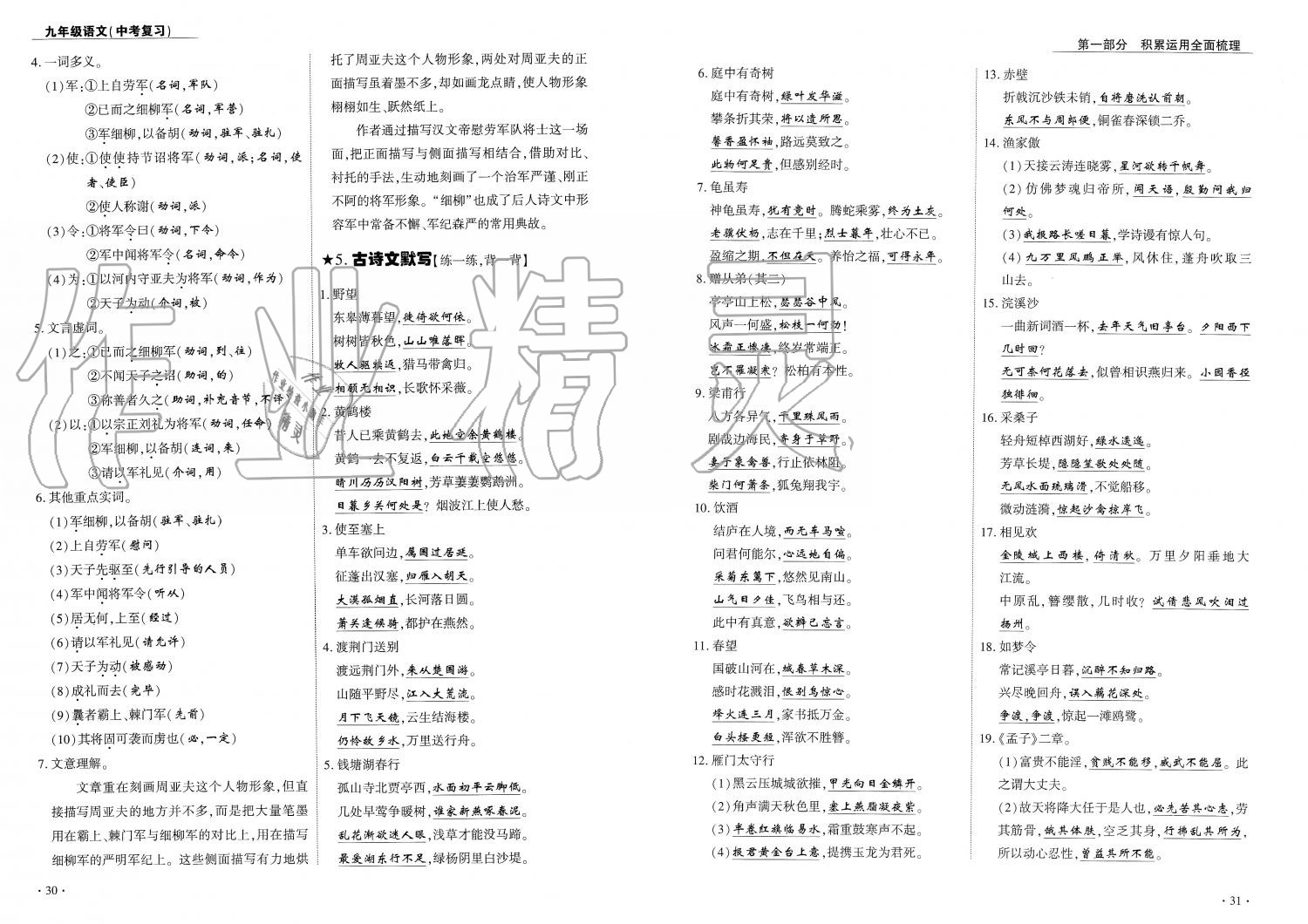 2019年蓉城優(yōu)課堂給力A加九年級語文中考復習 第16頁