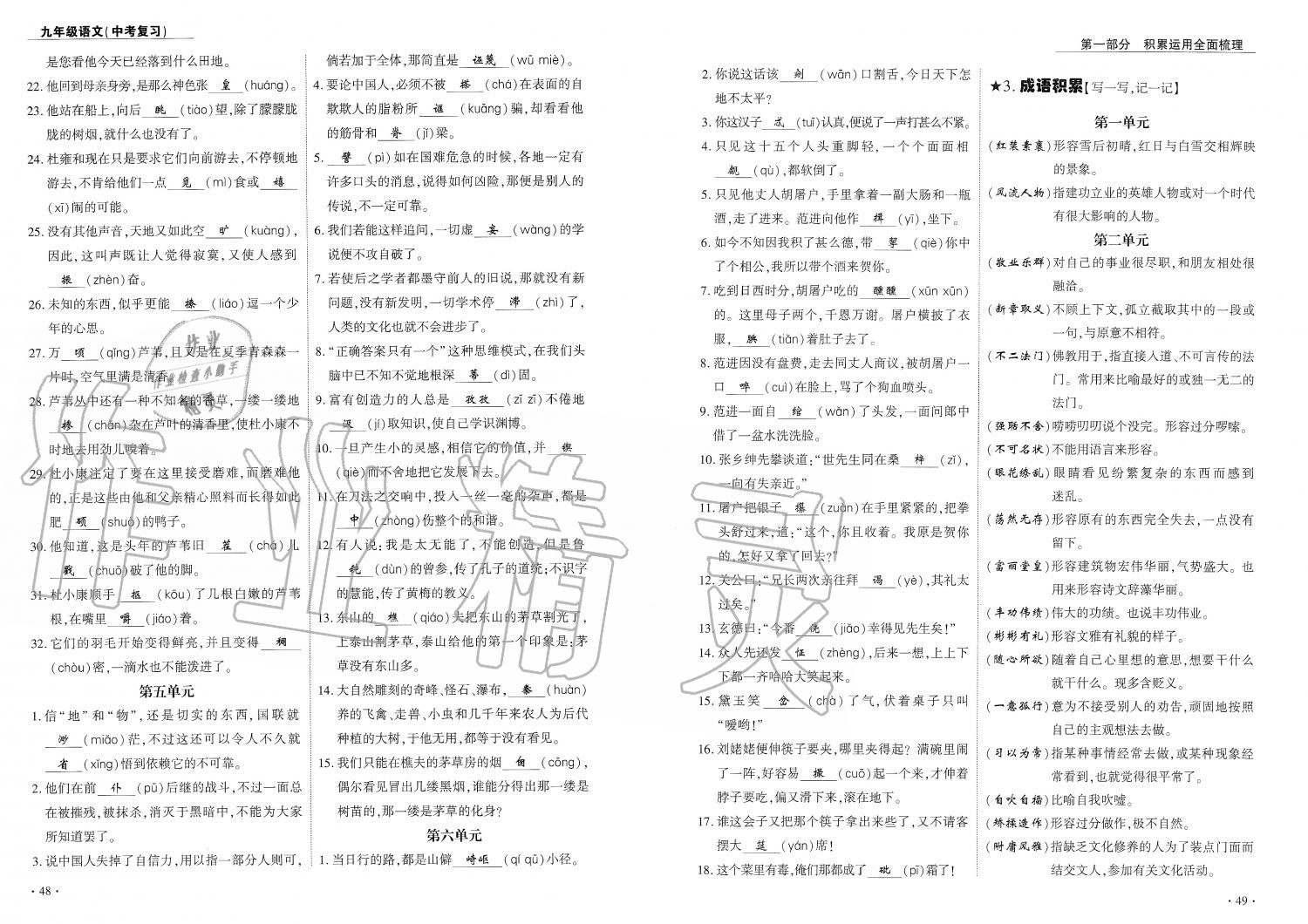 2019年蓉城優(yōu)課堂給力A加九年級語文中考復(fù)習(xí) 第25頁