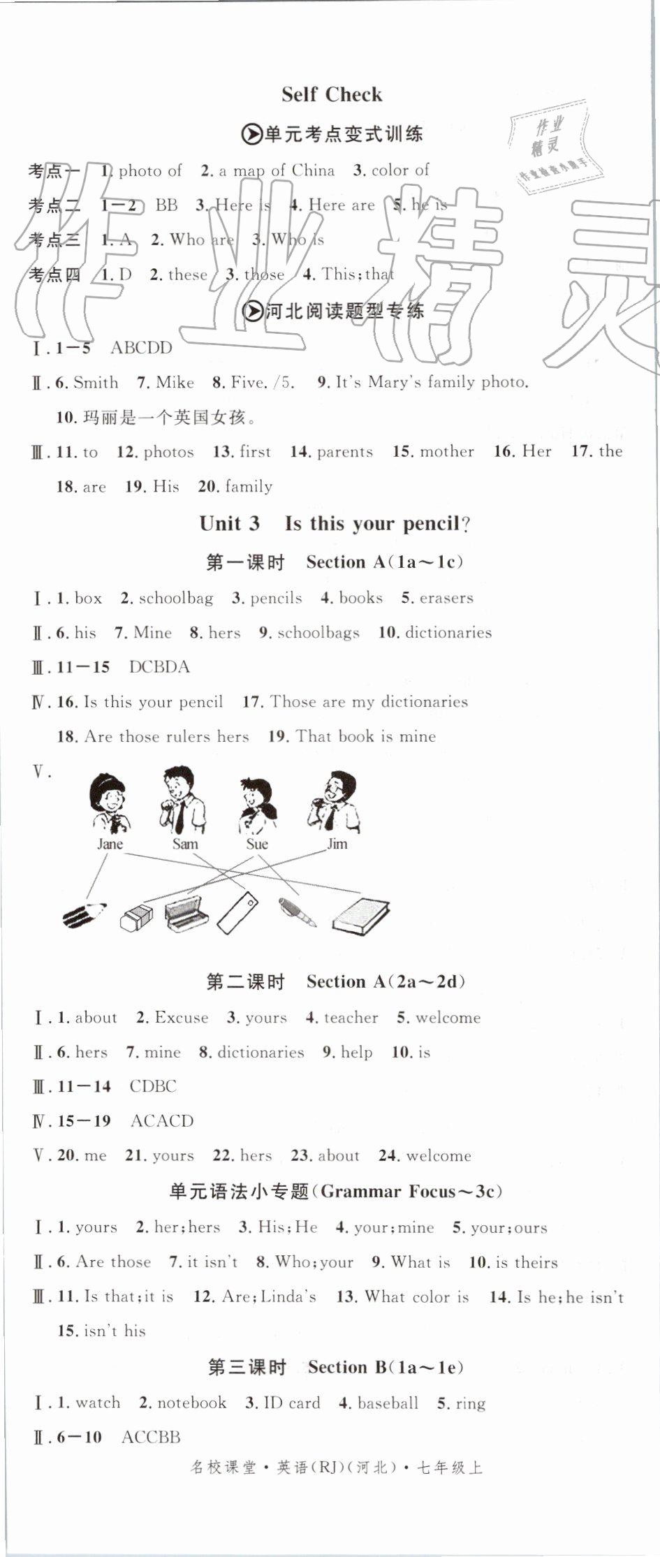 2019年名校課堂七年級英語上冊人教版河北專版 第5頁