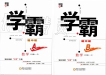 2019年經(jīng)綸學(xué)典學(xué)霸組合訓(xùn)練八年級數(shù)學(xué)上冊浙教版