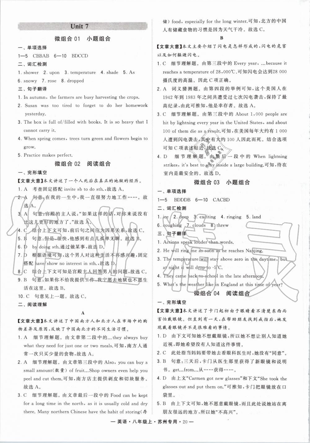 2019年经纶学典学霸组合训练八年级英语上册译林版苏州专用 第20页