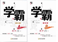 2019年经纶学典学霸九年级数学全一册浙教版