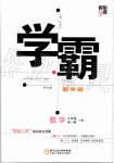 2019年經(jīng)綸學(xué)典學(xué)霸九年級數(shù)學(xué)全一冊滬科版