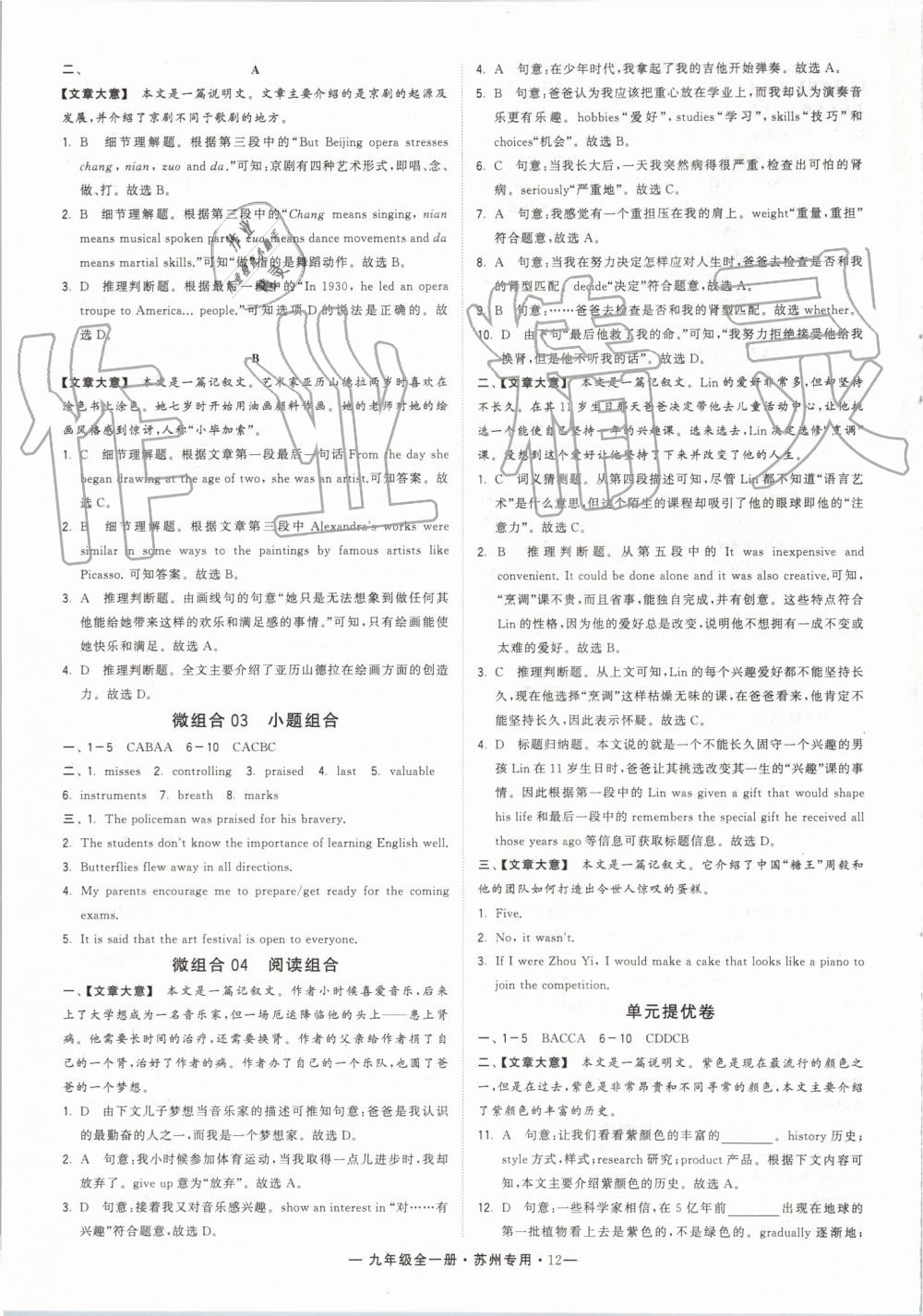 2019年經(jīng)綸學(xué)典學(xué)霸組合訓(xùn)練九年級(jí)英語(yǔ)全一冊(cè)譯林版蘇州專(zhuān)用 第12頁(yè)