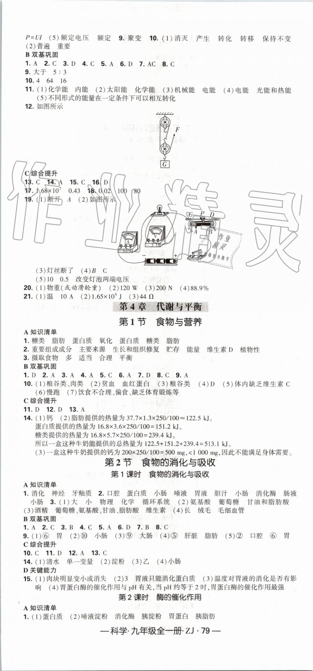 2019年經綸學典學霸九年級科學全一冊浙教版 第19頁