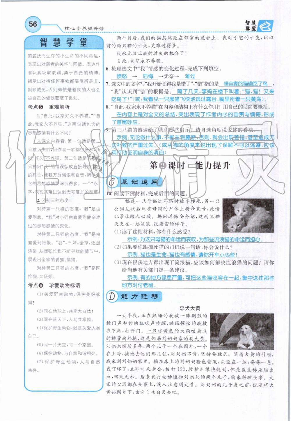 2019年智慧學(xué)堂七年級語文上冊人教版天津科學(xué)技術(shù)出版社 第56頁