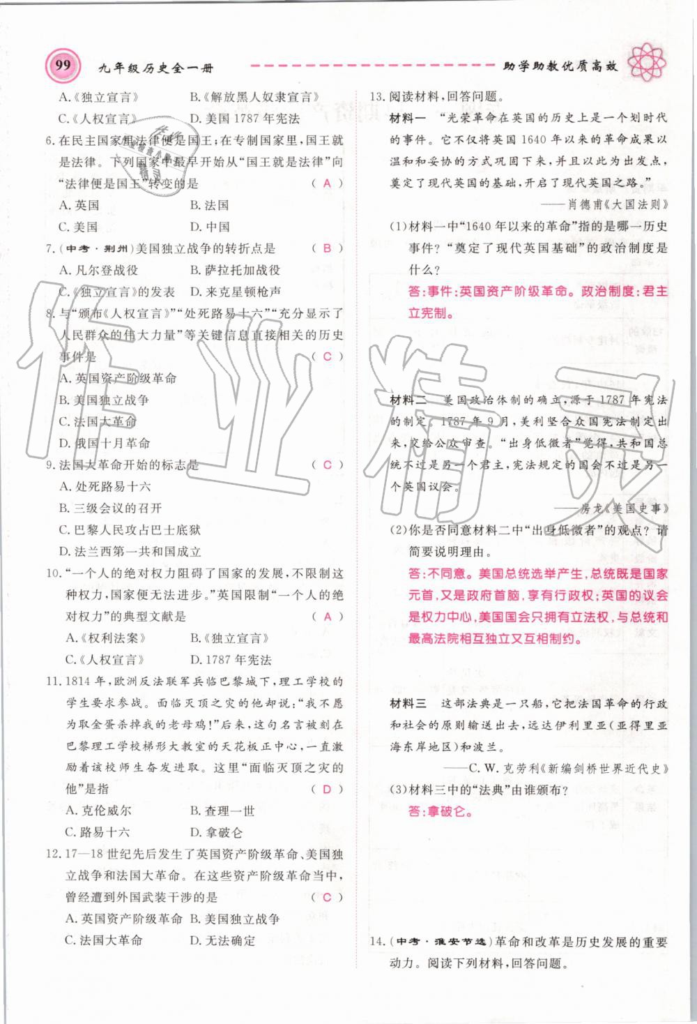 2019年名師學(xué)案九年級(jí)歷史全一冊人教版 第99頁