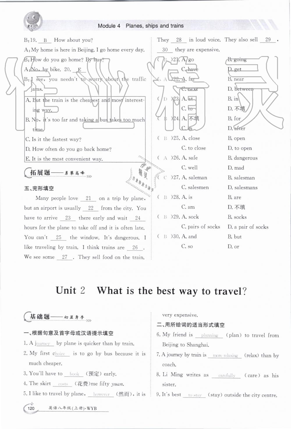 2019年金太陽導(dǎo)學(xué)案八年級英語上冊外研版 第120頁